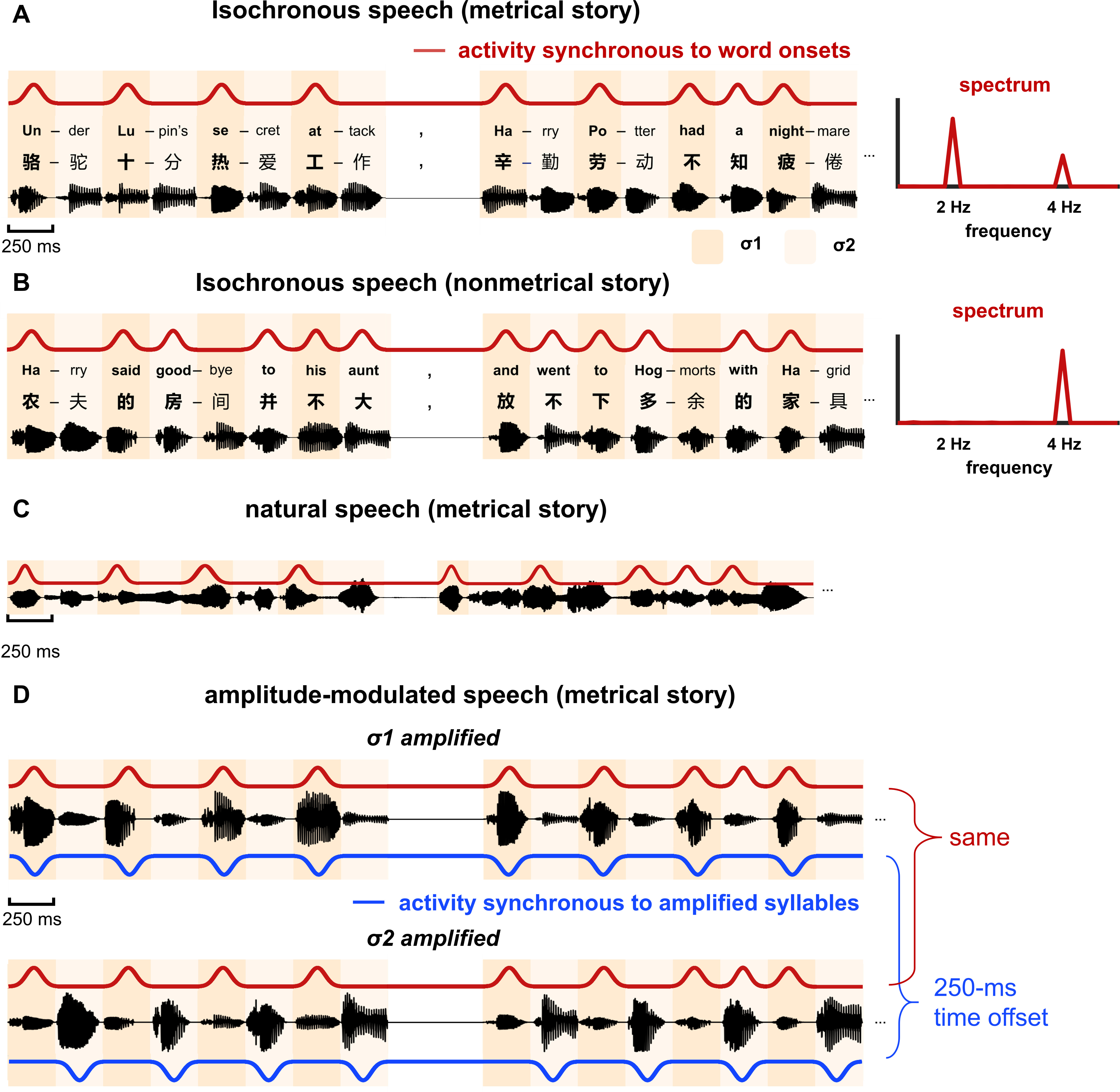 Cortical encoding of acoustic and linguistic rhythms in spoken ...