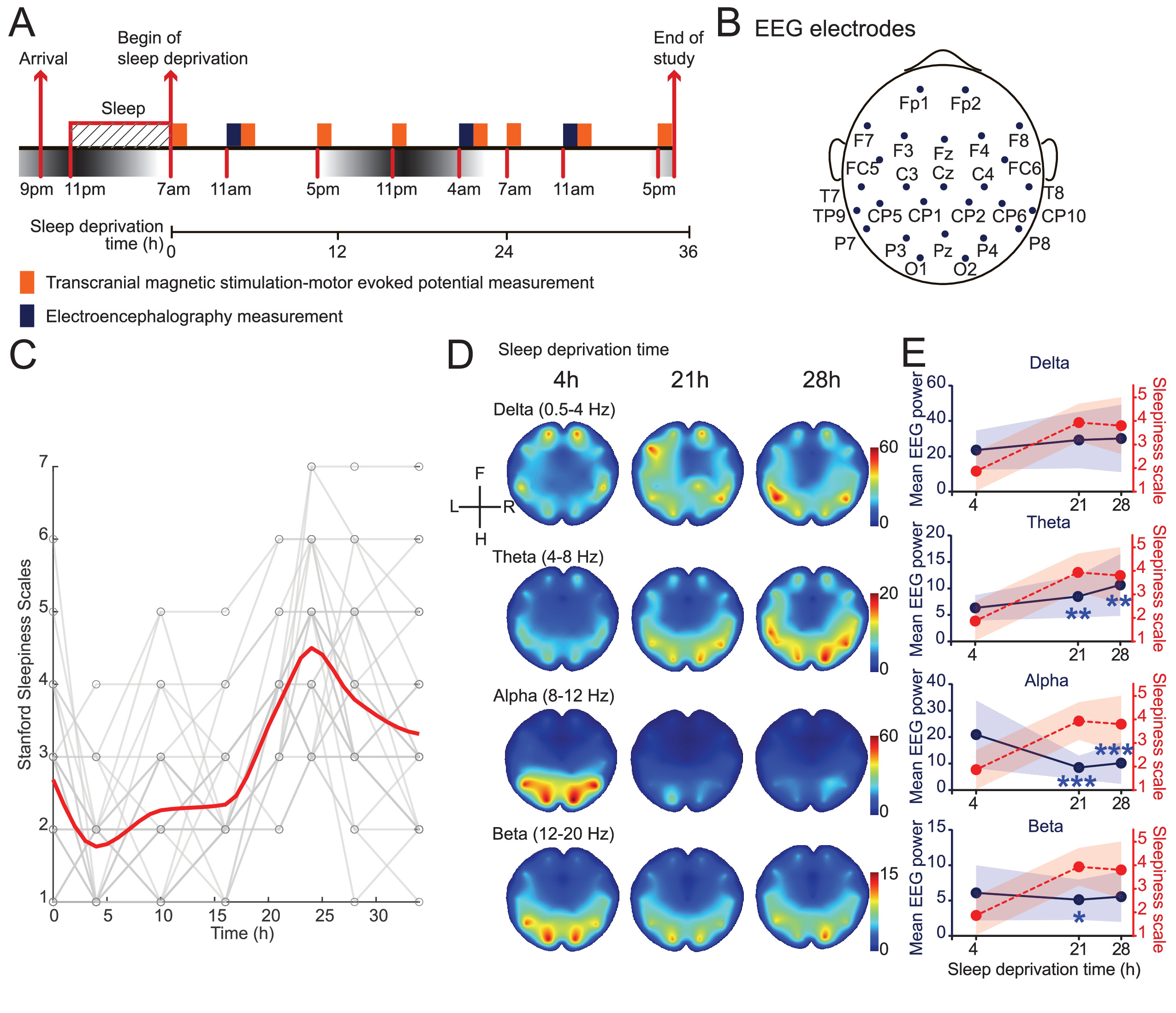 Cortical excitability signatures for the degree of sleepiness in human ...