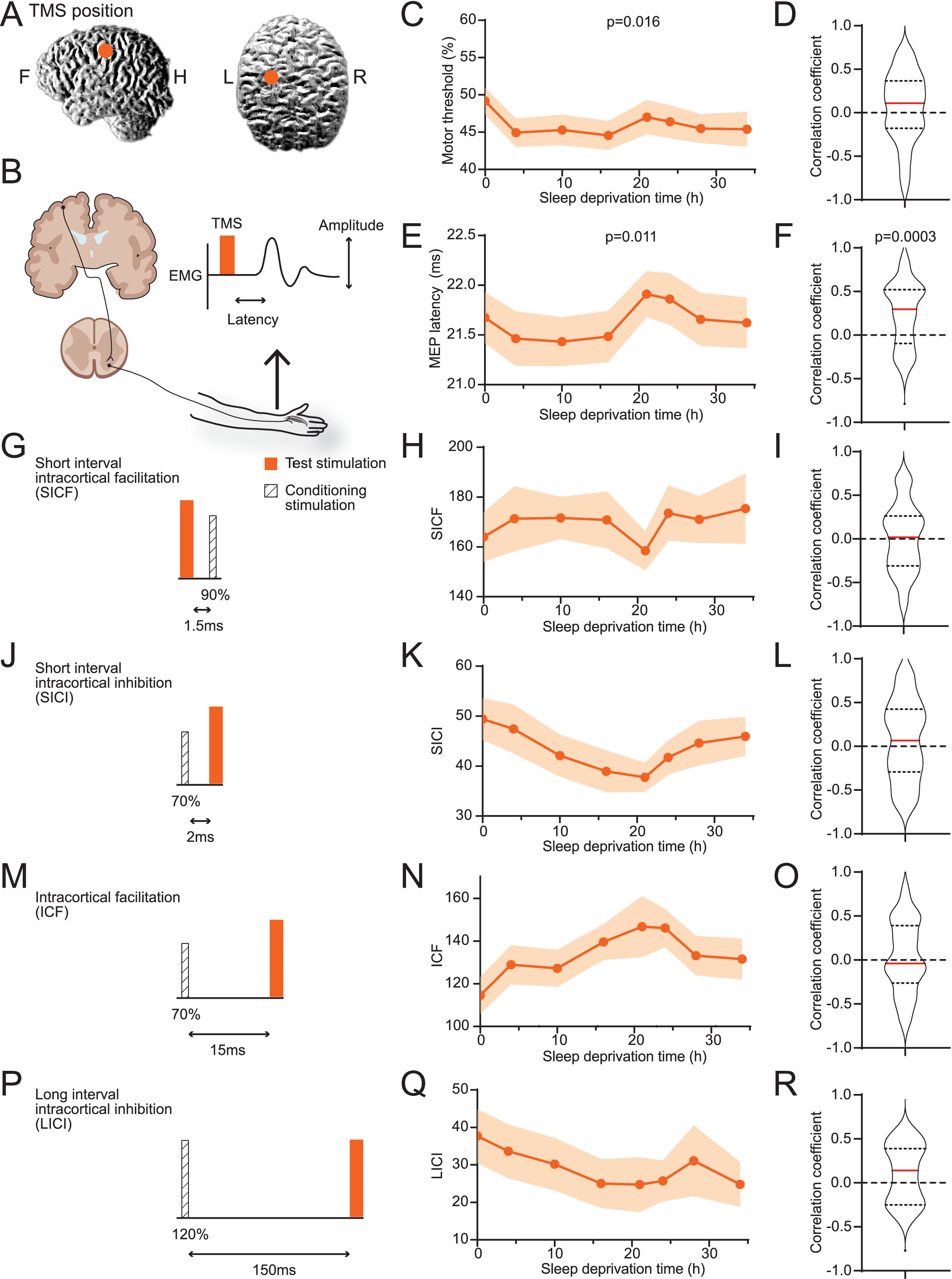 Cortical excitability signatures for the degree of sleepiness in human ...
