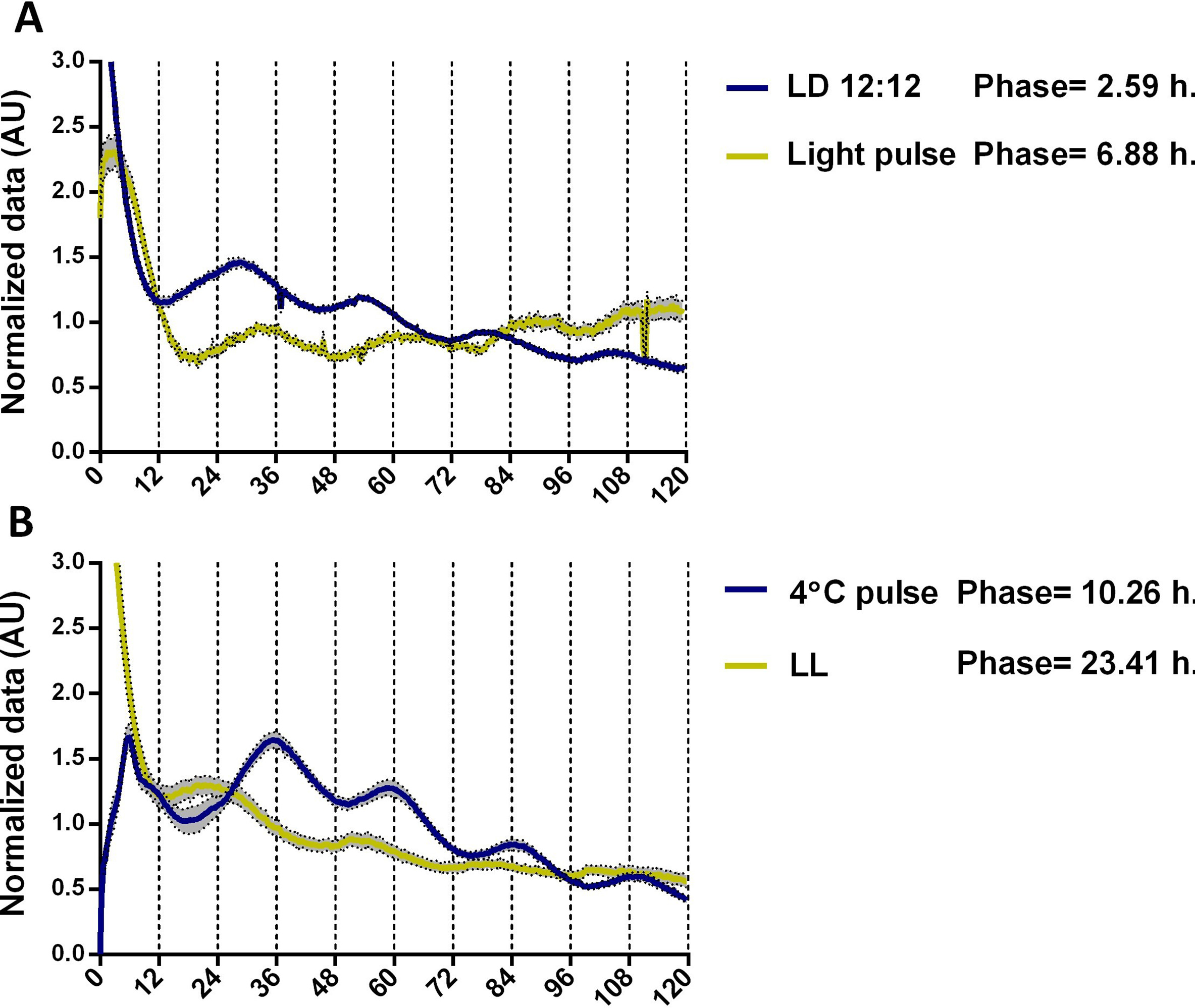 Circadian oscillations in Trichoderma atroviride and the role of core ...