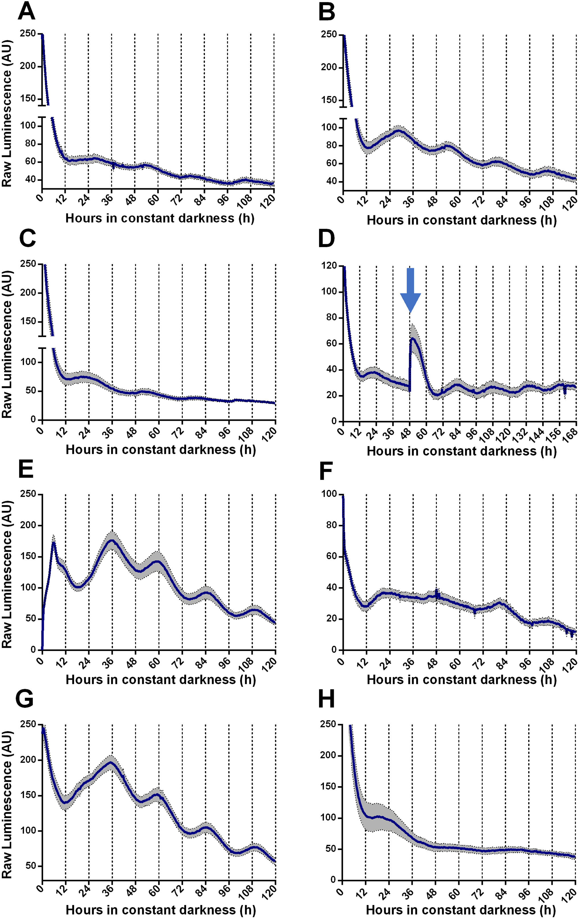 Circadian oscillations in Trichoderma atroviride and the role of core ...