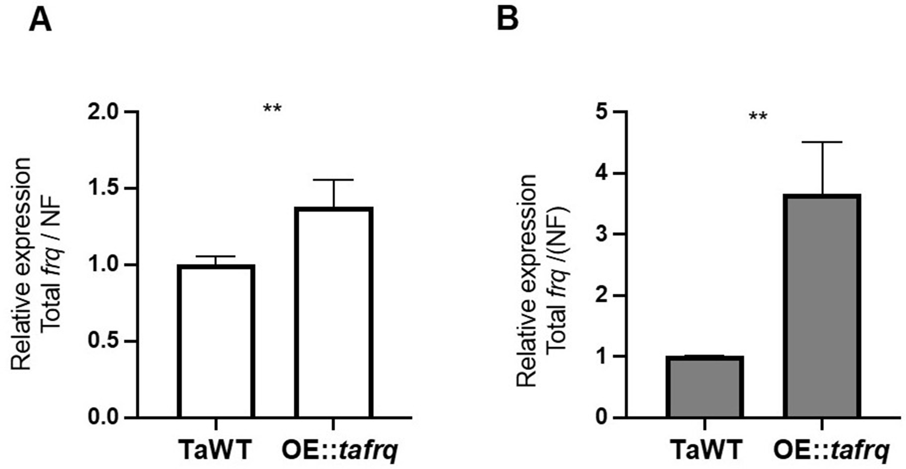 Circadian oscillations in Trichoderma atroviride and the role of core ...
