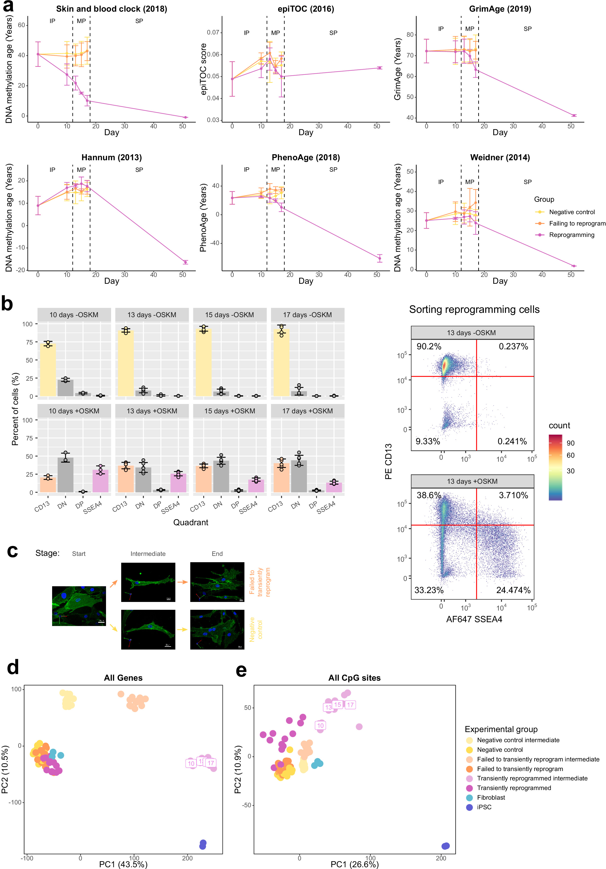 Multi-omic rejuvenation of human cells by maturation phase transient ...