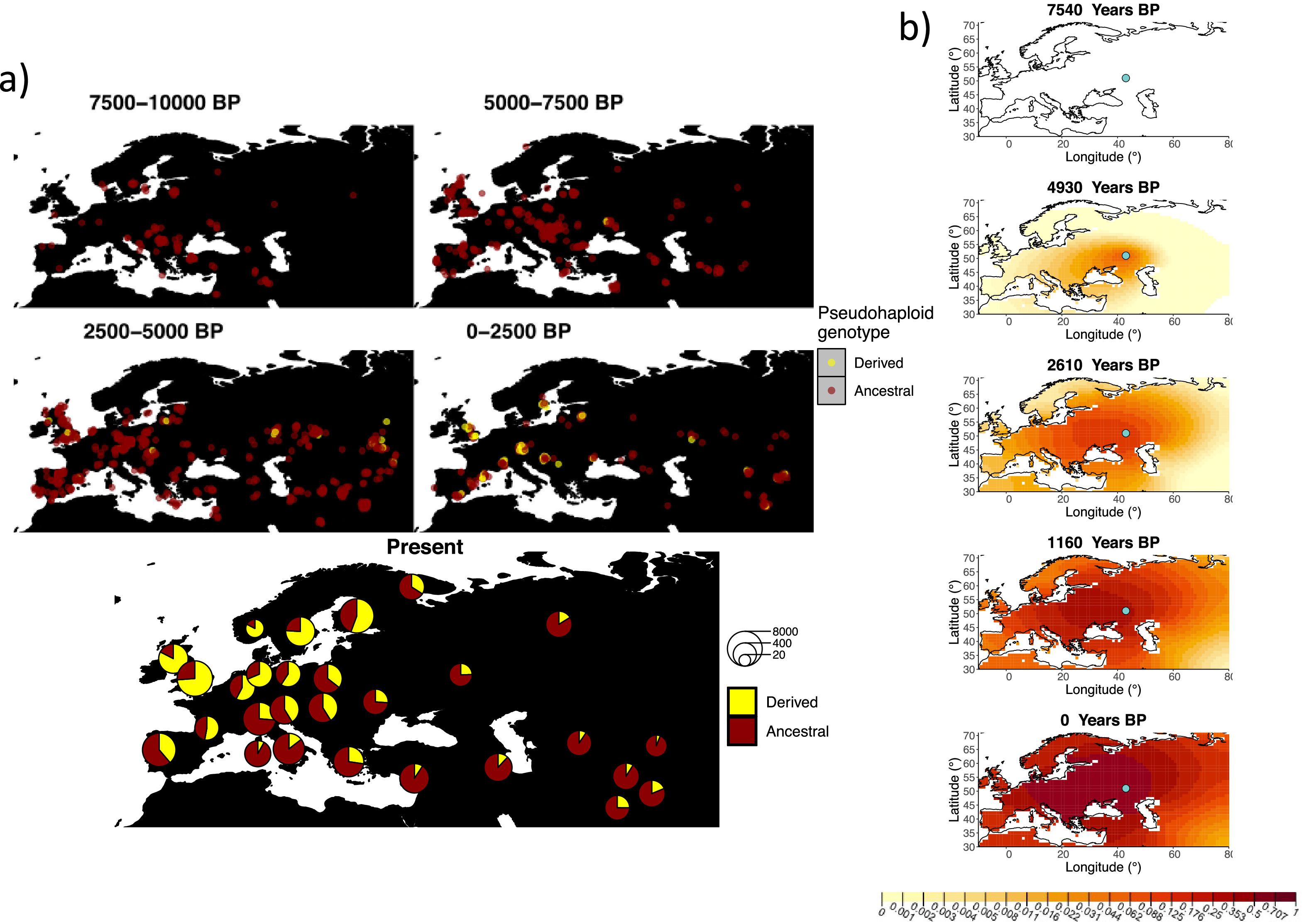 Modeling the spatiotemporal spread of beneficial alleles using ancient ...