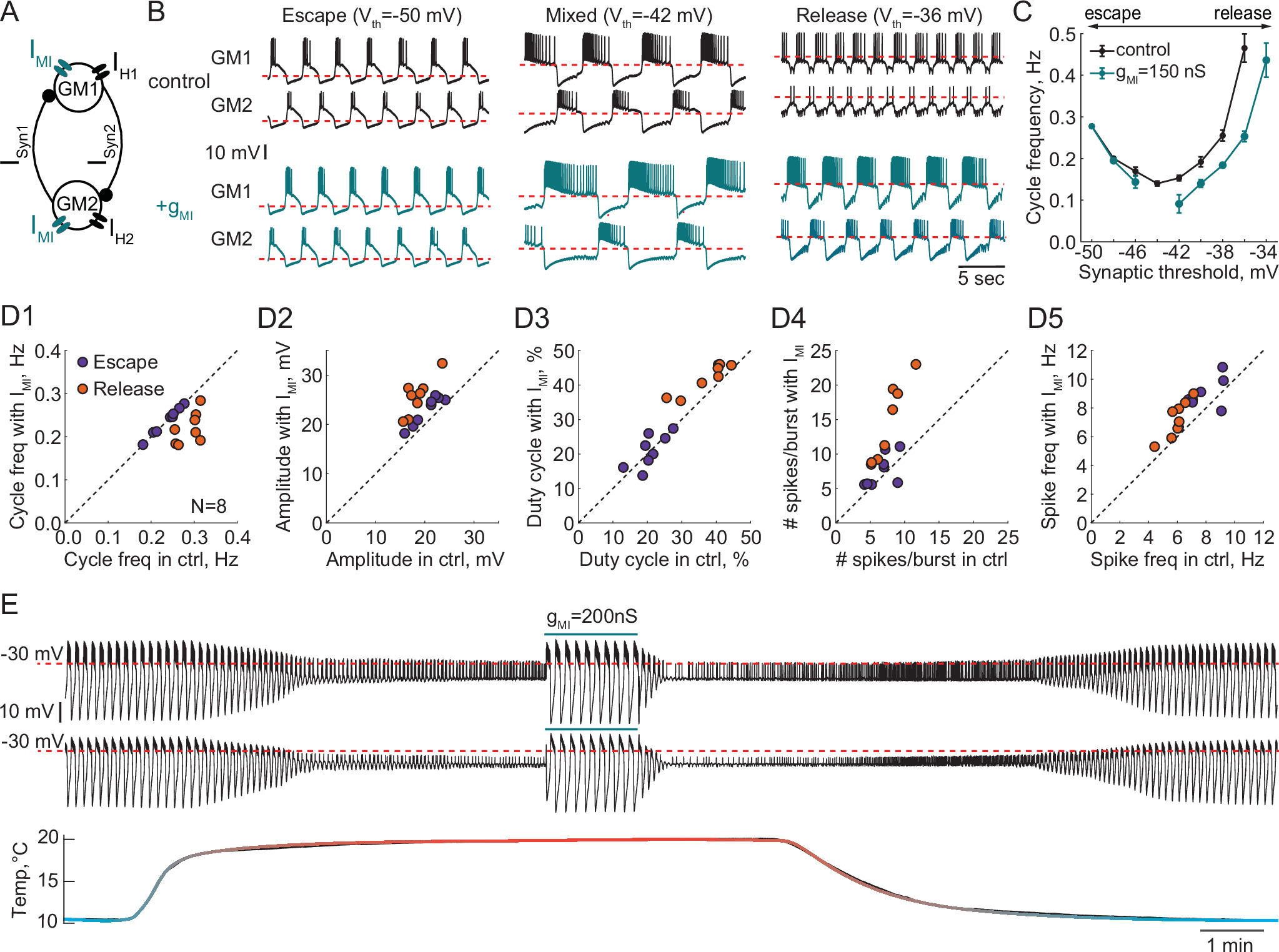 Reciprocally inhibitory circuits operating with distinct mechanisms are ...