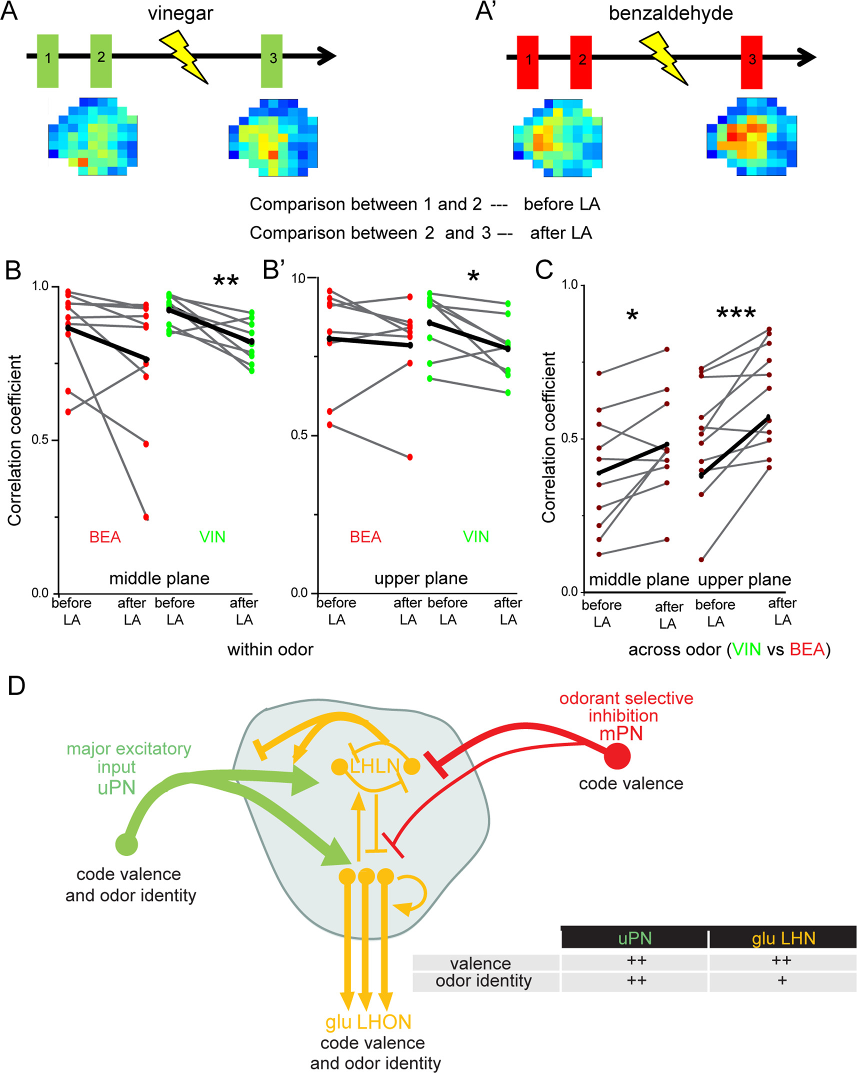 Higher-order olfactory neurons in the lateral horn support odor valence ...