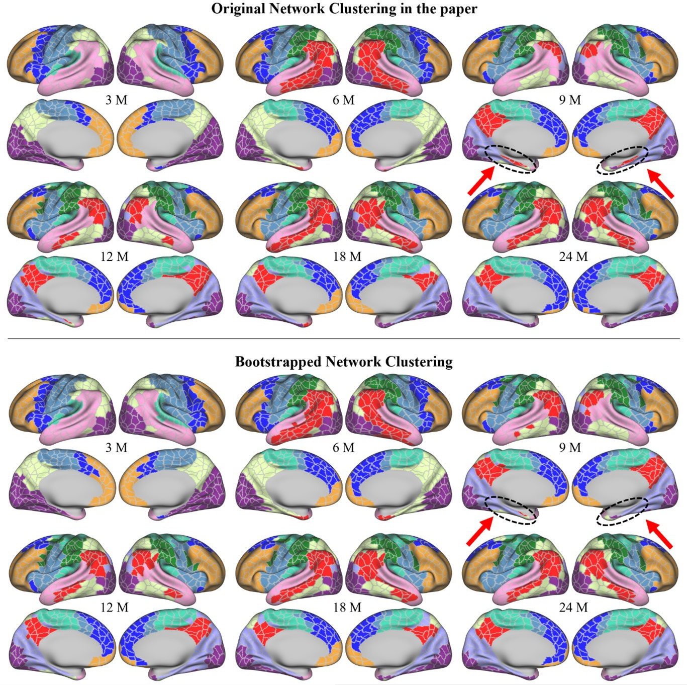 Fine-grained functional parcellation maps of the infant cerebral cortex ...