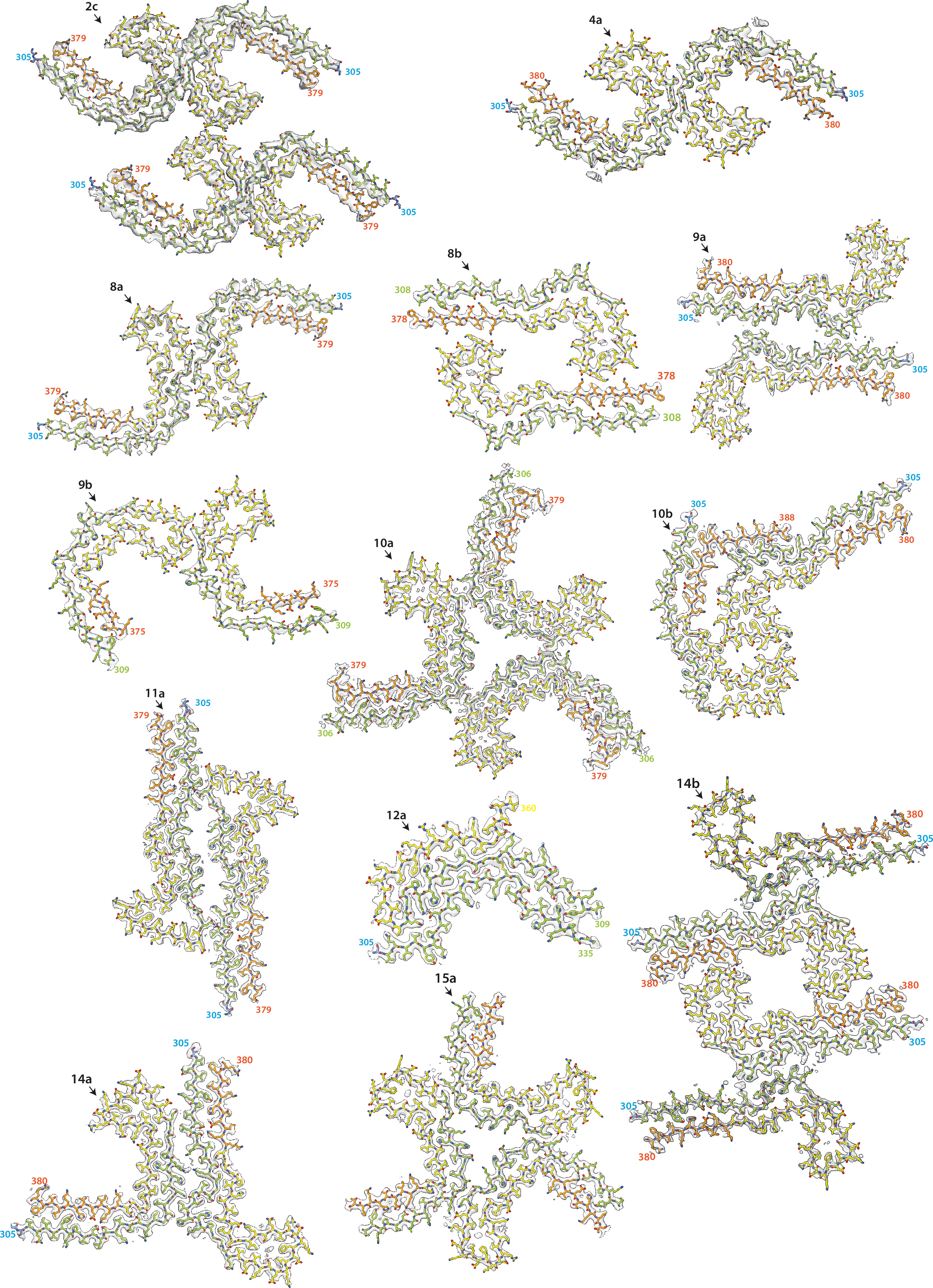 Assembly of recombinant tau into filaments identical to those of ...