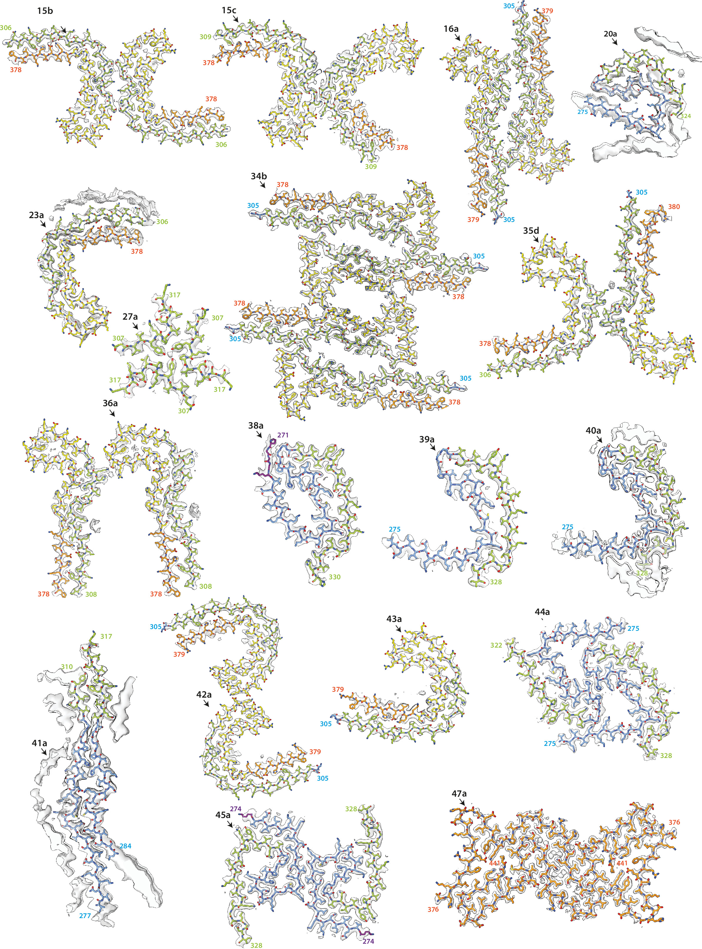 Assembly of recombinant tau into filaments identical to those of ...