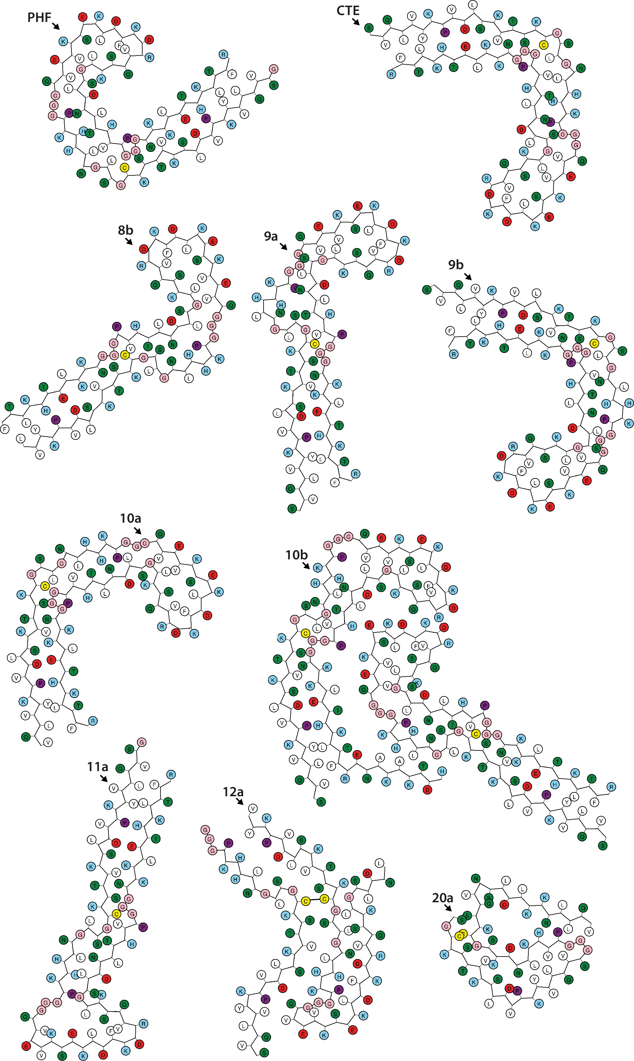 Assembly of recombinant tau into filaments identical to those of ...