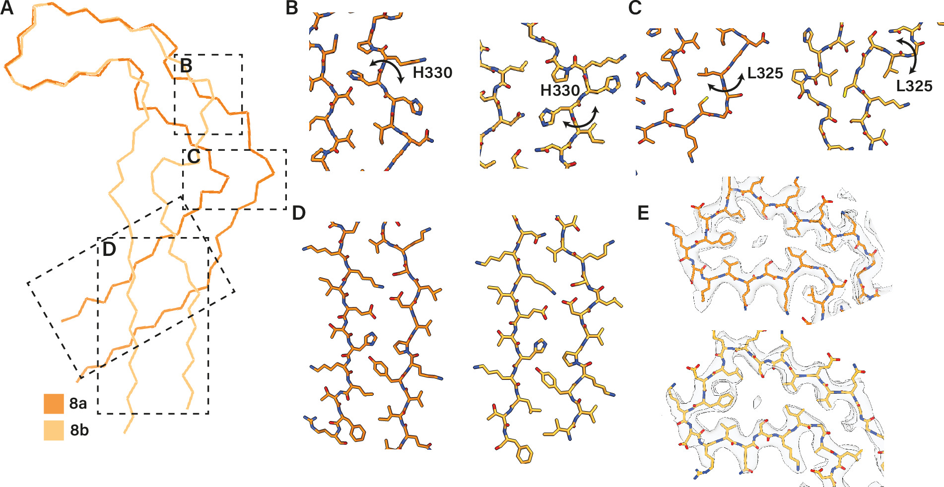 Assembly of recombinant tau into filaments identical to those of ...