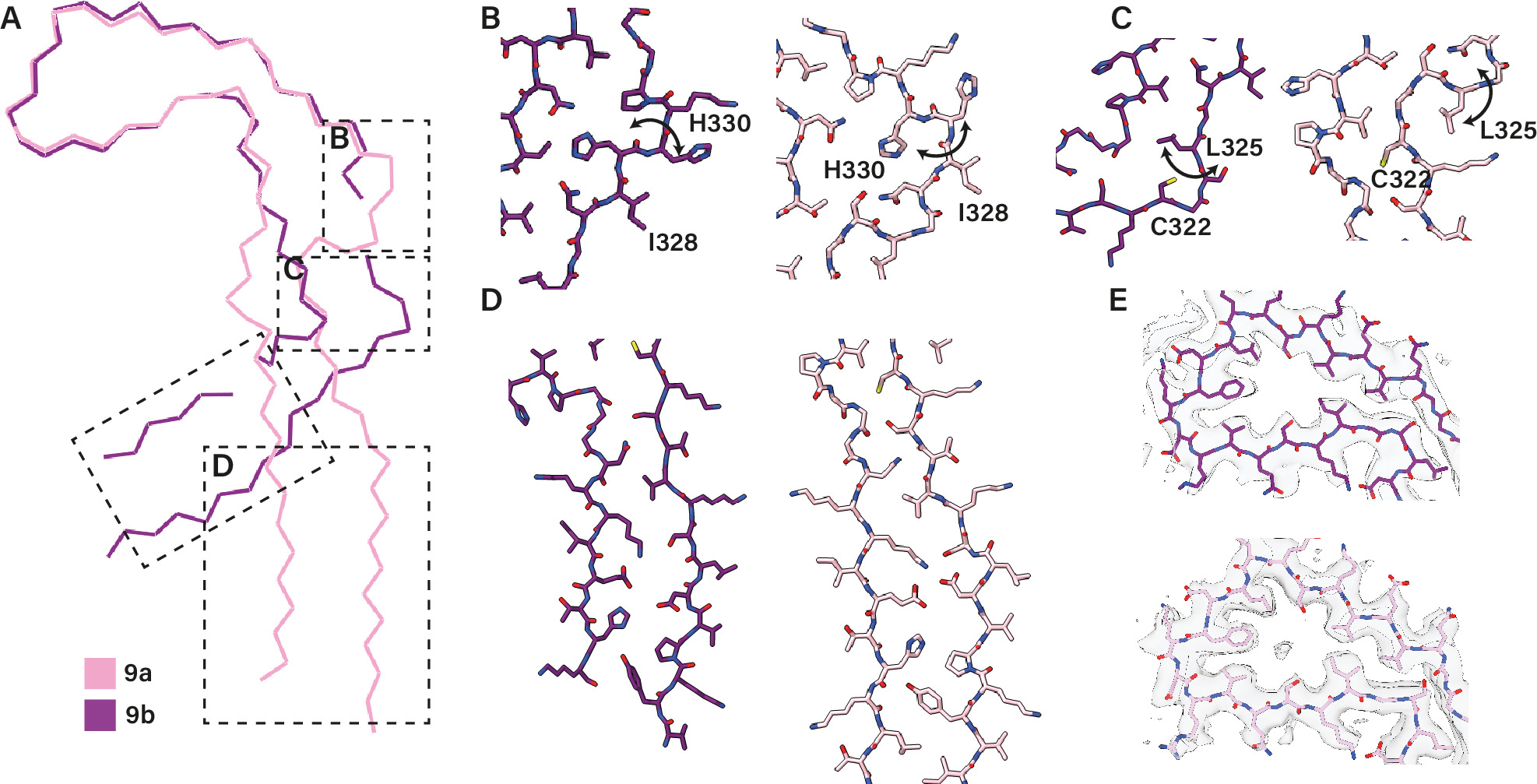 Assembly of recombinant tau into filaments identical to those of ...