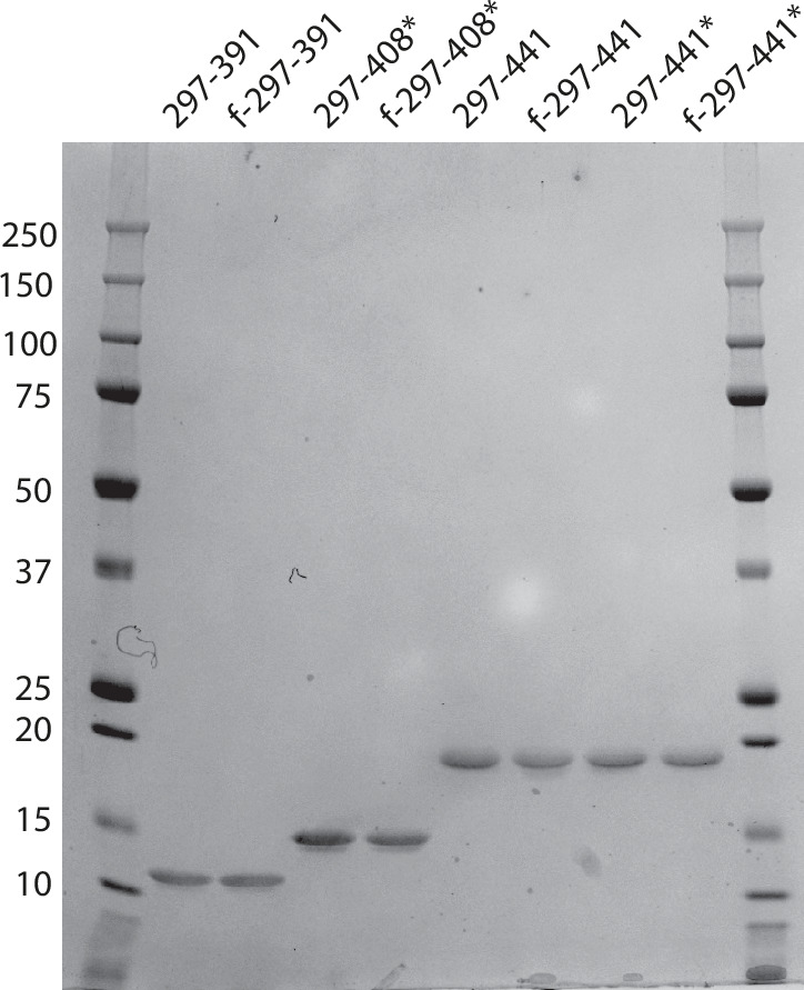 Assembly of recombinant tau into filaments identical to those of ...