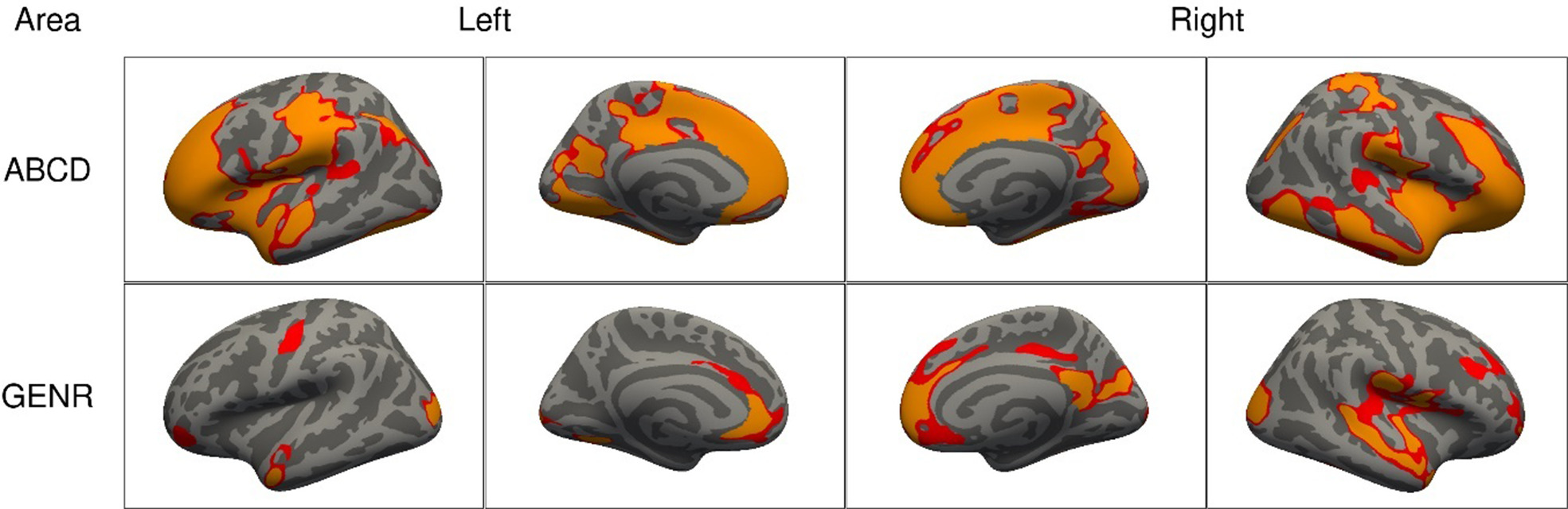 Attention-deficit hyperactivity disorder symptoms and brain morphology ...