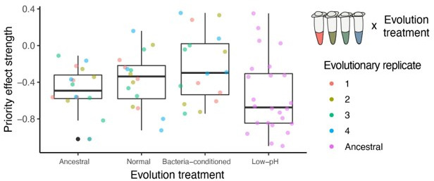 Wide-ranging consequences of priority effects governed by an ...