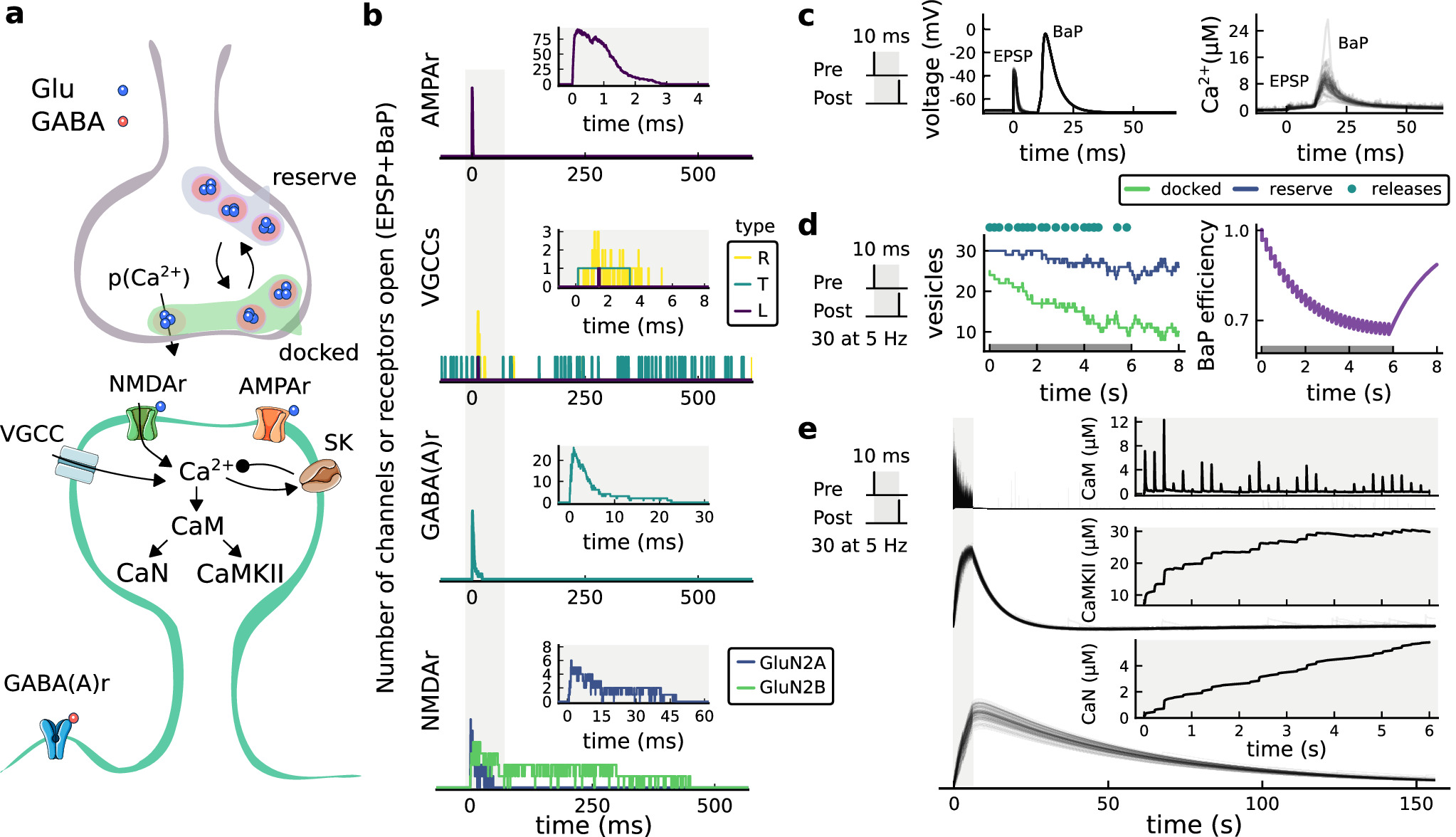 A stochastic model of hippocampal synaptic plasticity with geometrical ...