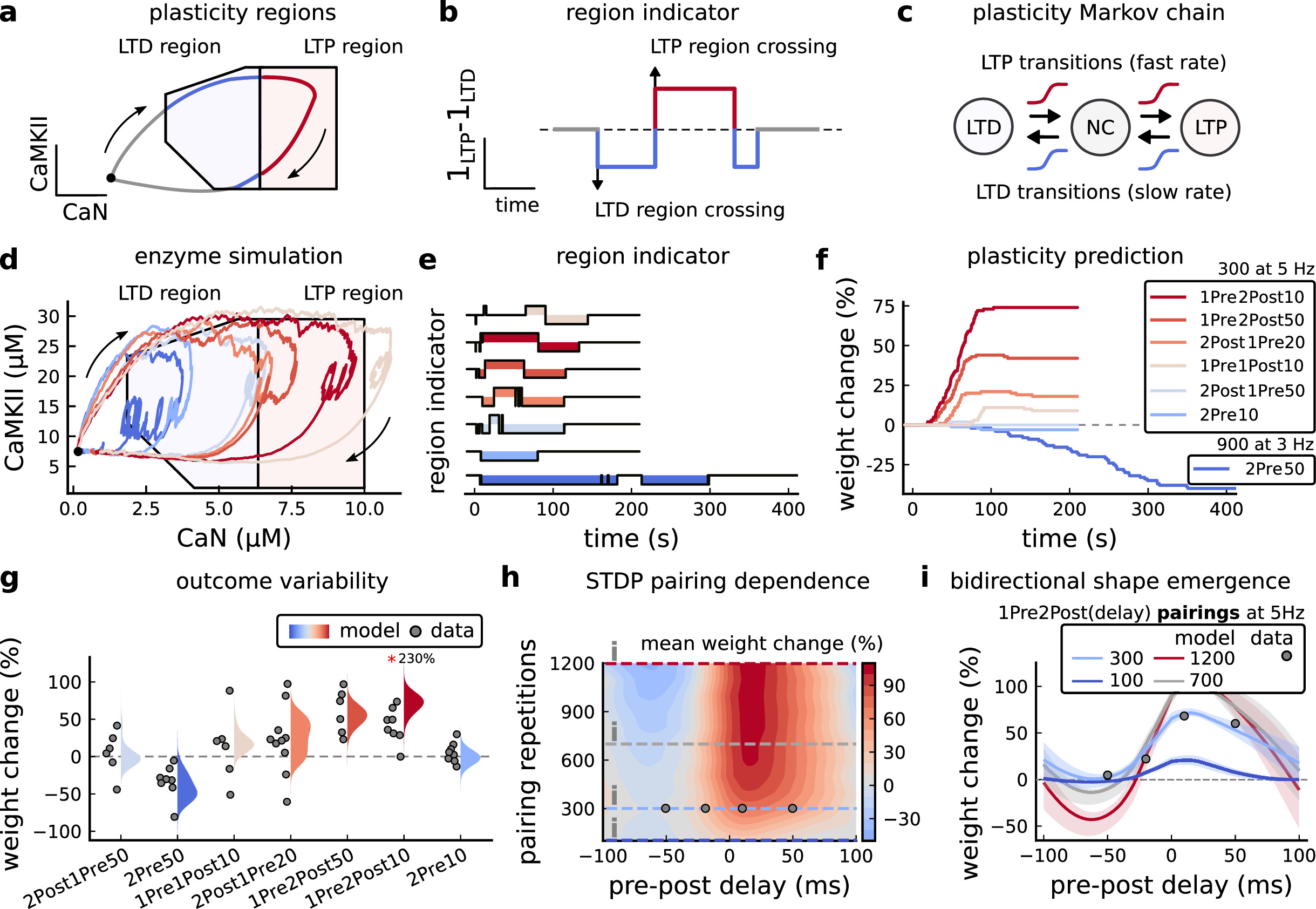 A stochastic model of hippocampal synaptic plasticity with geometrical ...