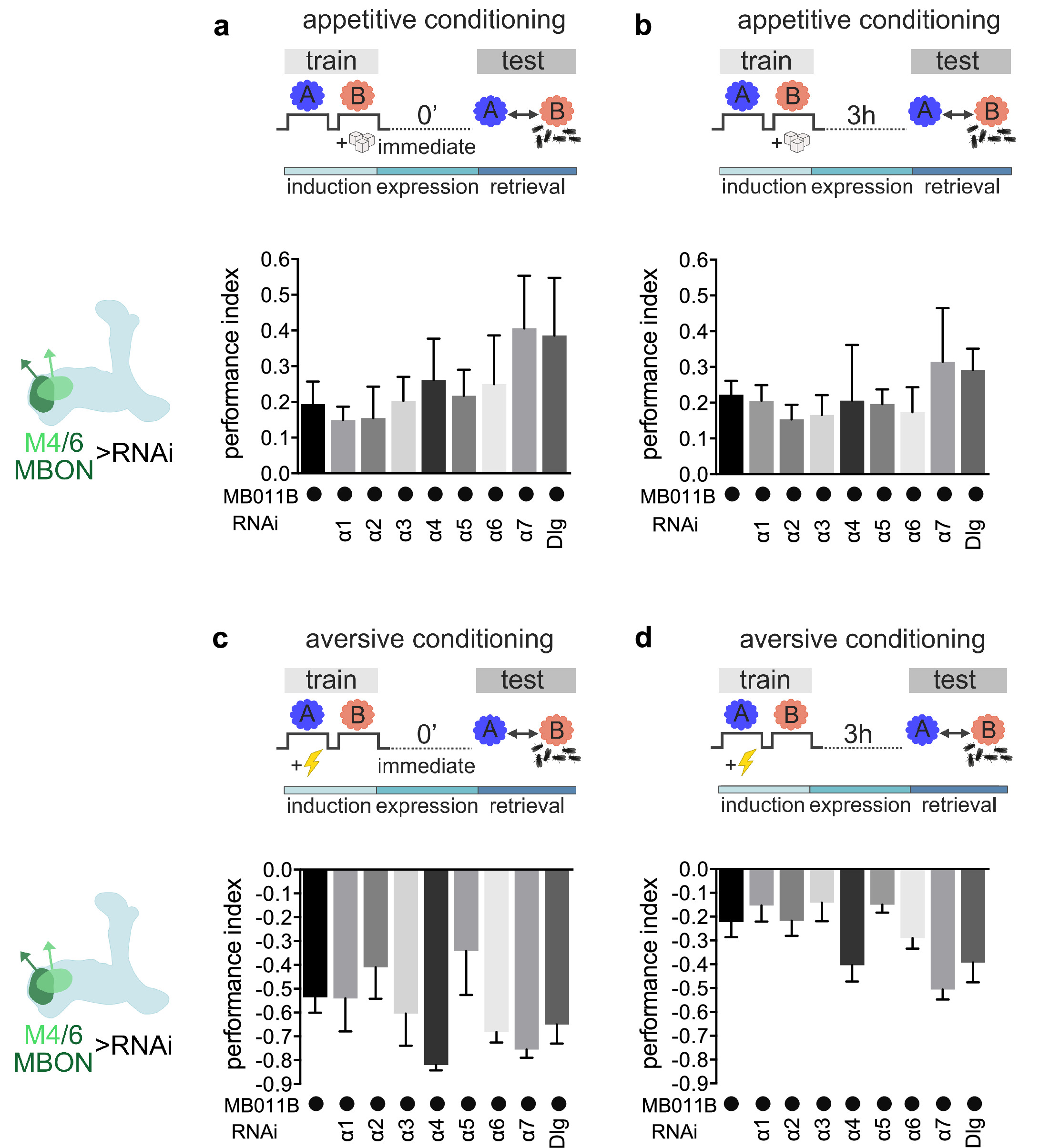 Postsynaptic plasticity of cholinergic synapses underlies the induction ...