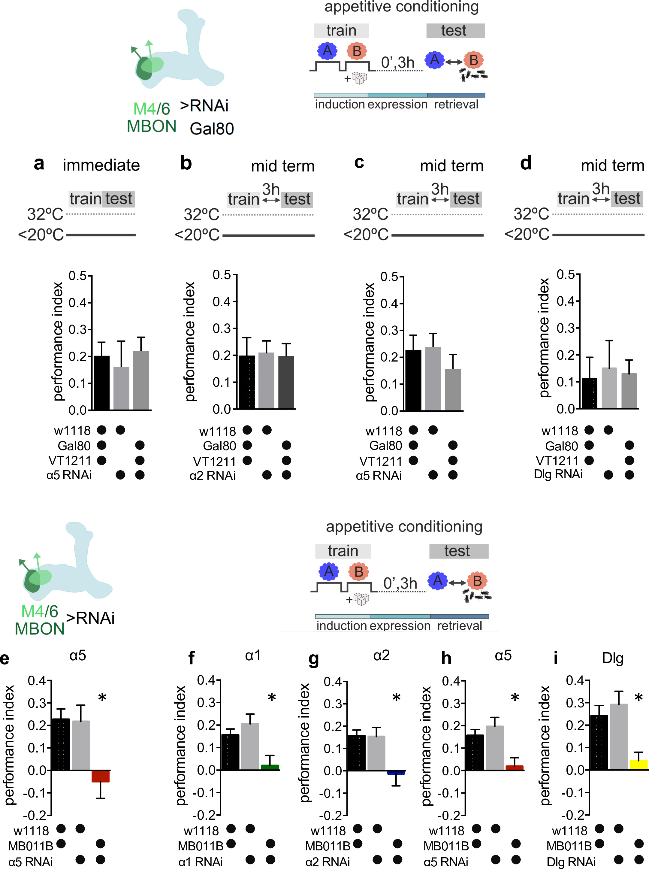 Postsynaptic plasticity of cholinergic synapses underlies the induction ...