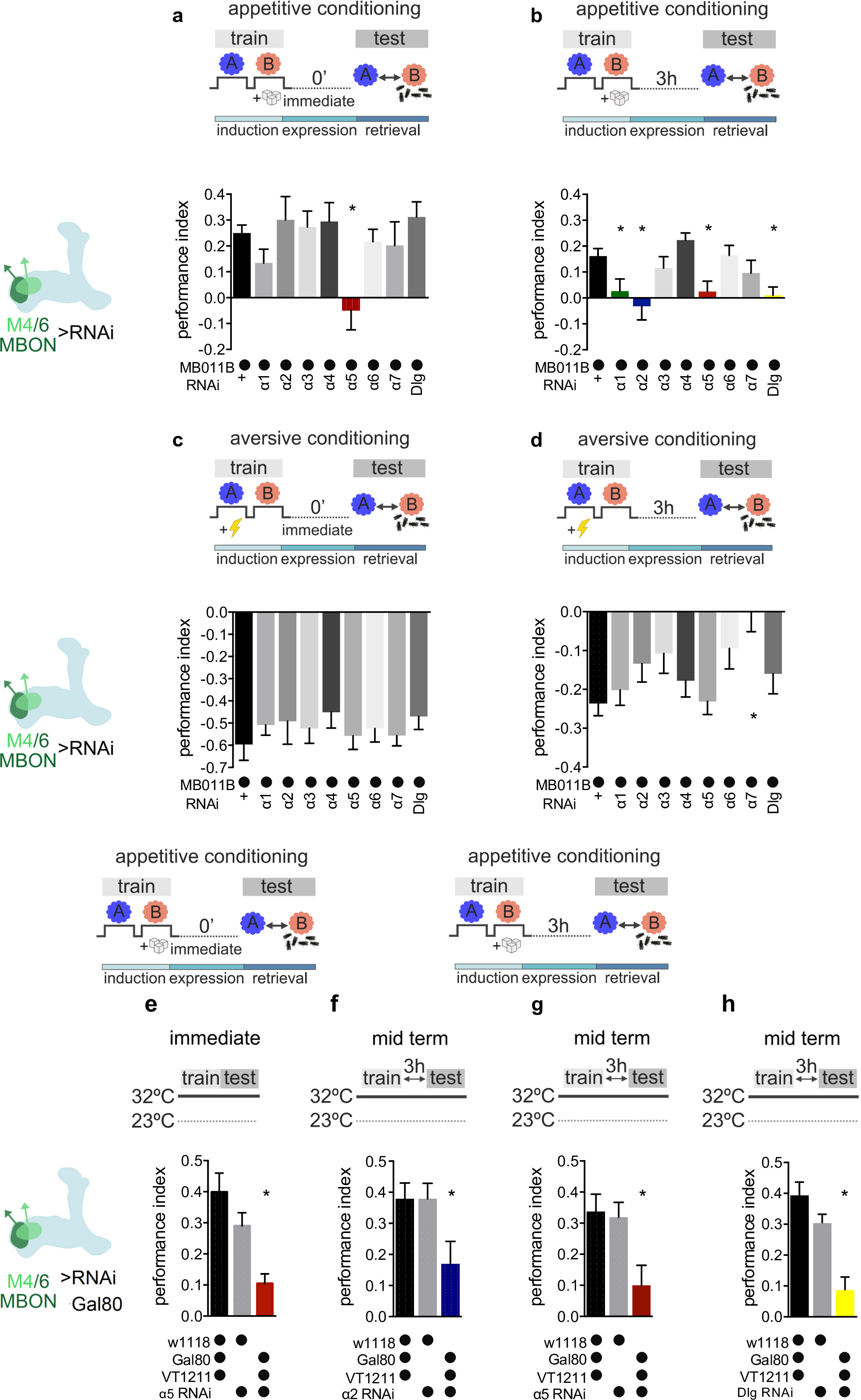 Postsynaptic plasticity of cholinergic synapses underlies the induction ...