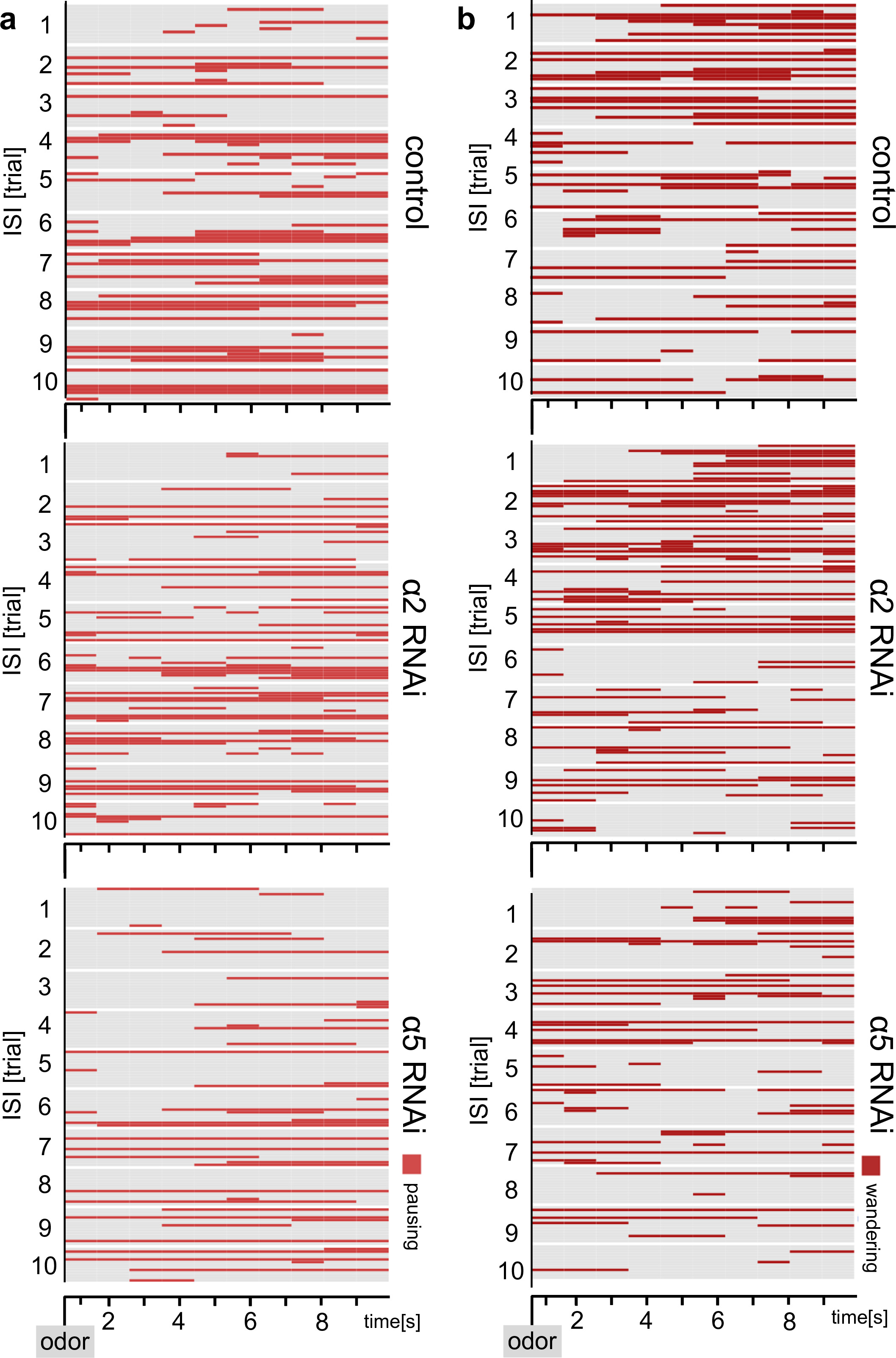 Postsynaptic plasticity of cholinergic synapses underlies the induction ...
