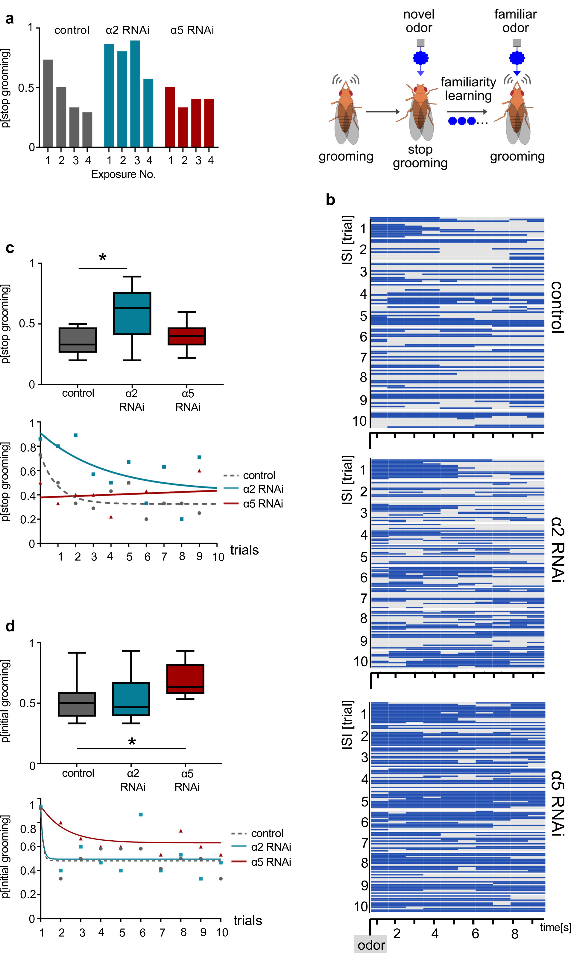 Postsynaptic plasticity of cholinergic synapses underlies the induction ...