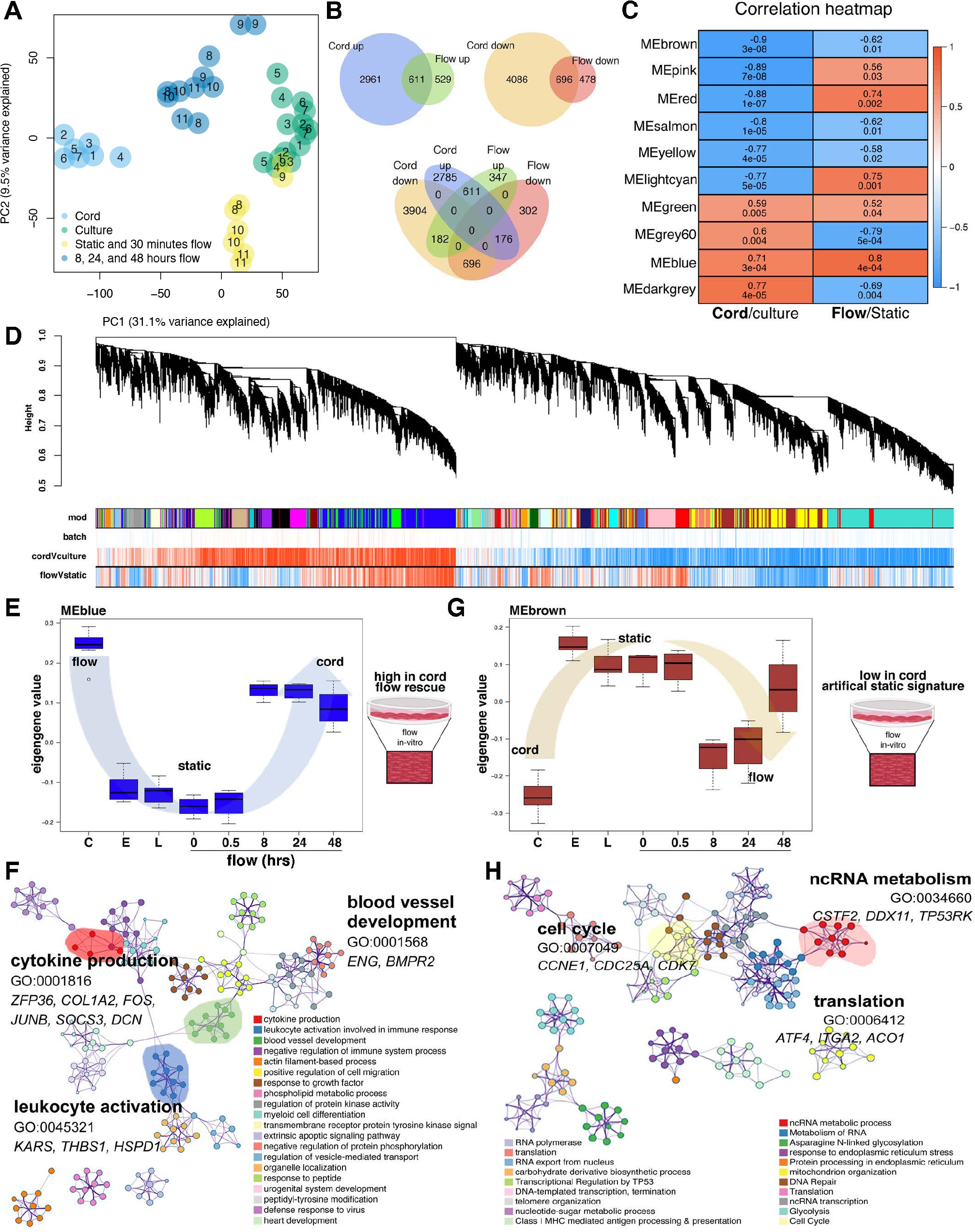 Pca Transcriptomes Time Transcriptional drifts associated with environmental changes in ...