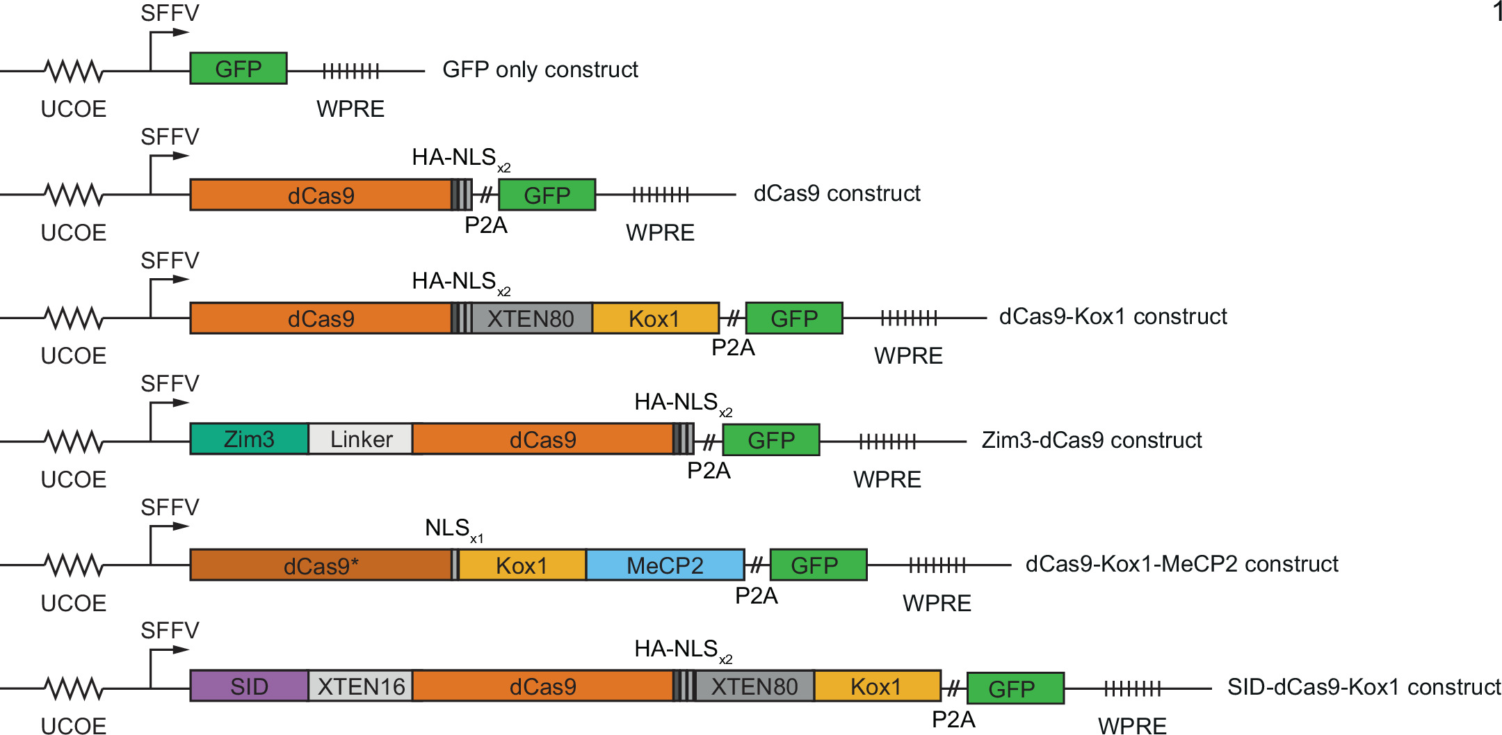 Sgrna Library. Design Maximizing CRISPRi efficacy and accessibility with dual-sgRNA libraries ...
