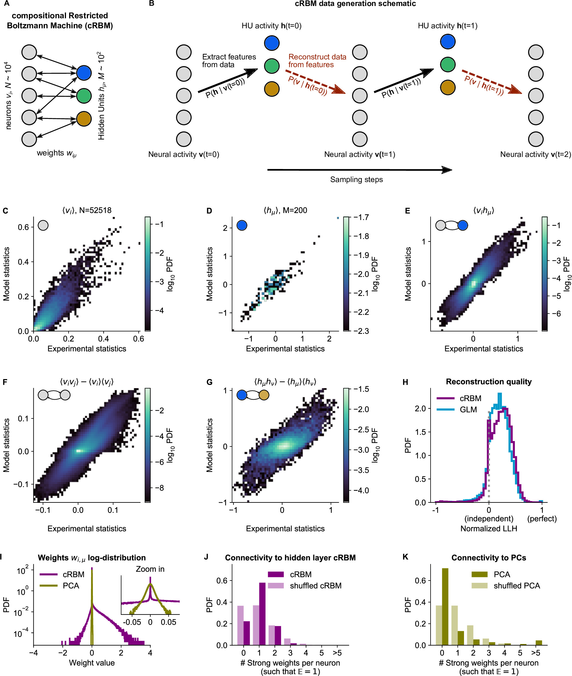 Neural assemblies uncovered by generative modeling explain whole-brain ...