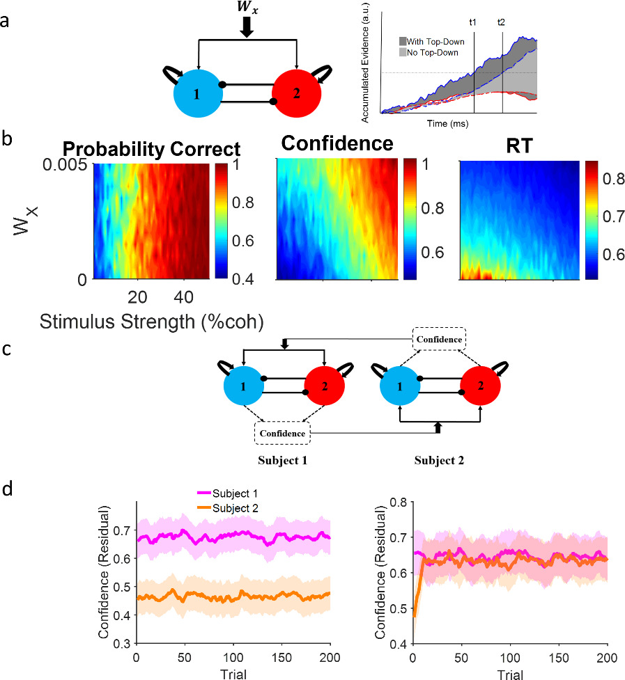 Interpersonal alignment of neural evidence accumulation to social ...