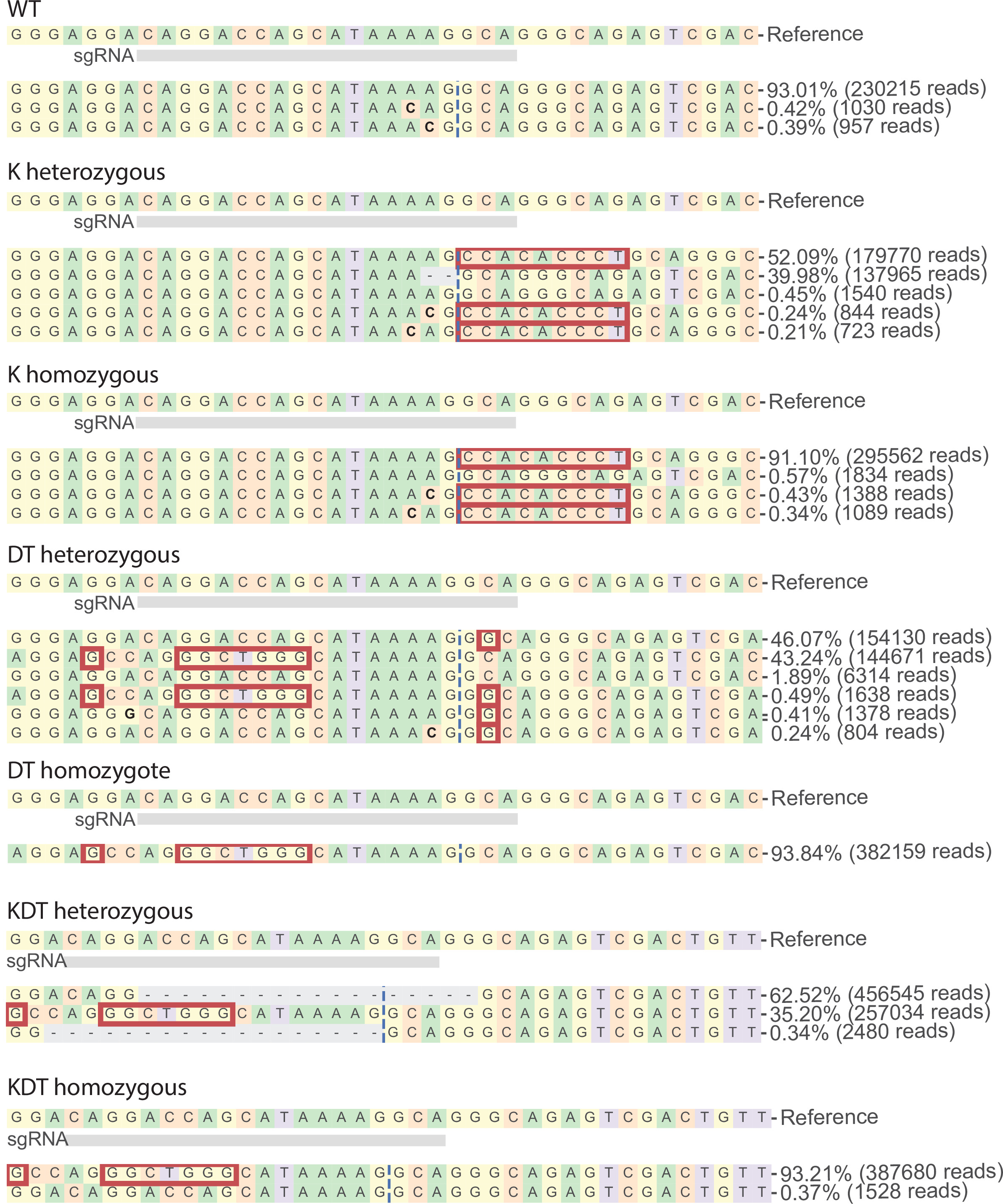 Hudep Engineering of the endogenous HBD promoter increases HbA2 | eLife Lens