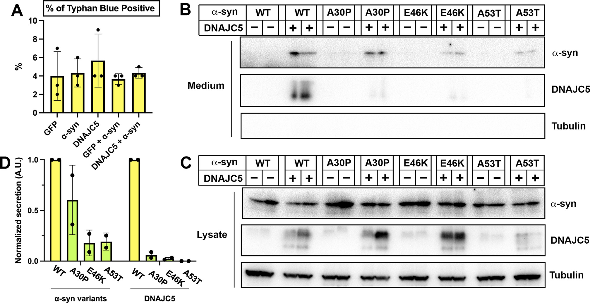 Unconventional Secretion Of α-synuclein Mediated By Palmitoylated ...