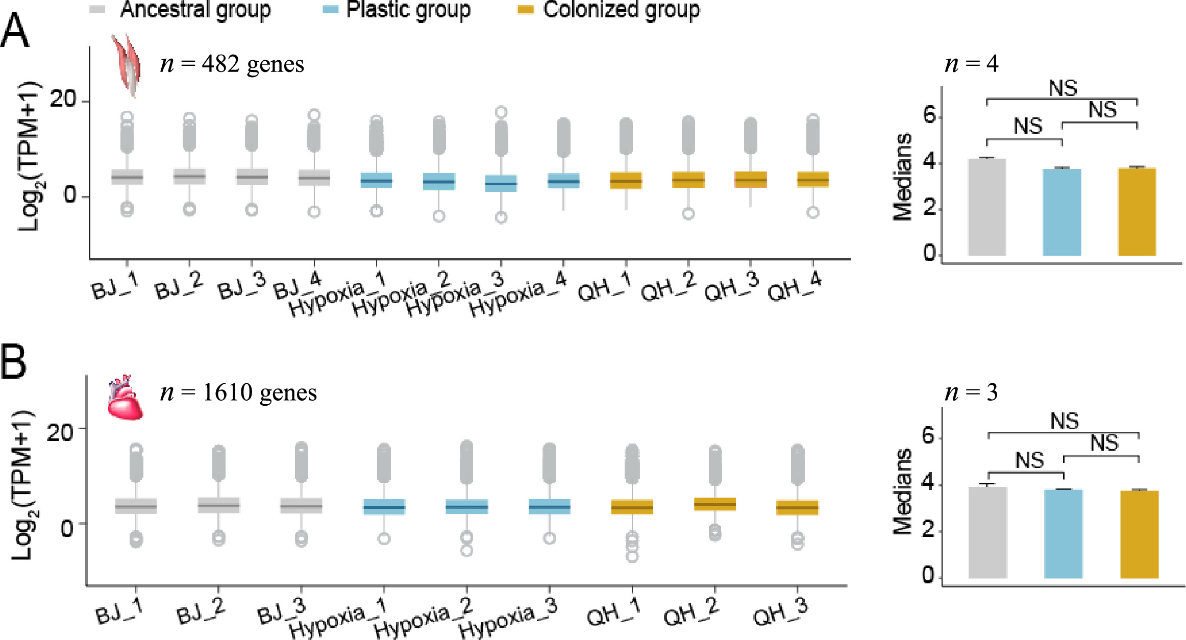 Gene expression plasticity followed by genetic change during ...