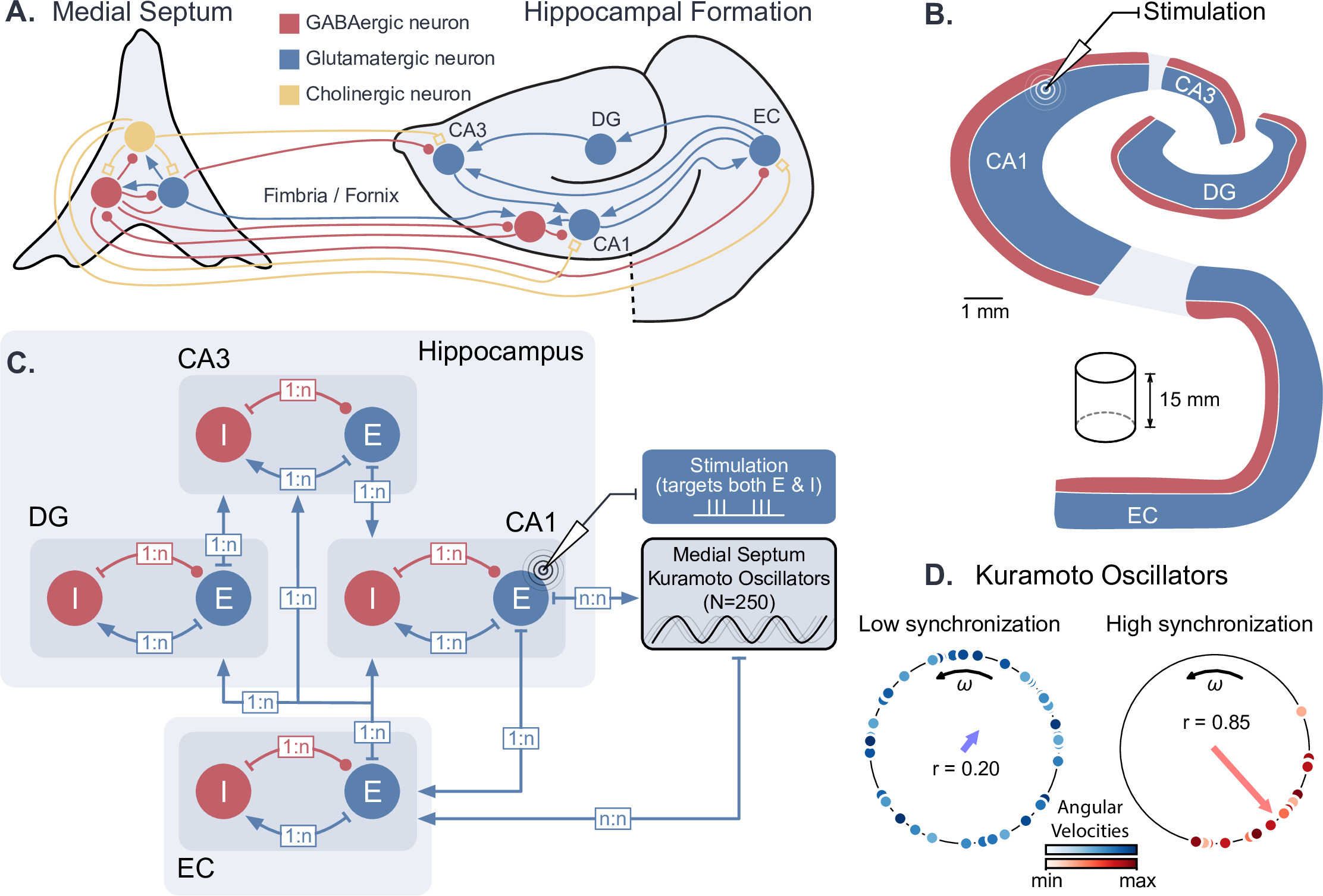 A dynamical computational model of theta generation in hippocampal ...