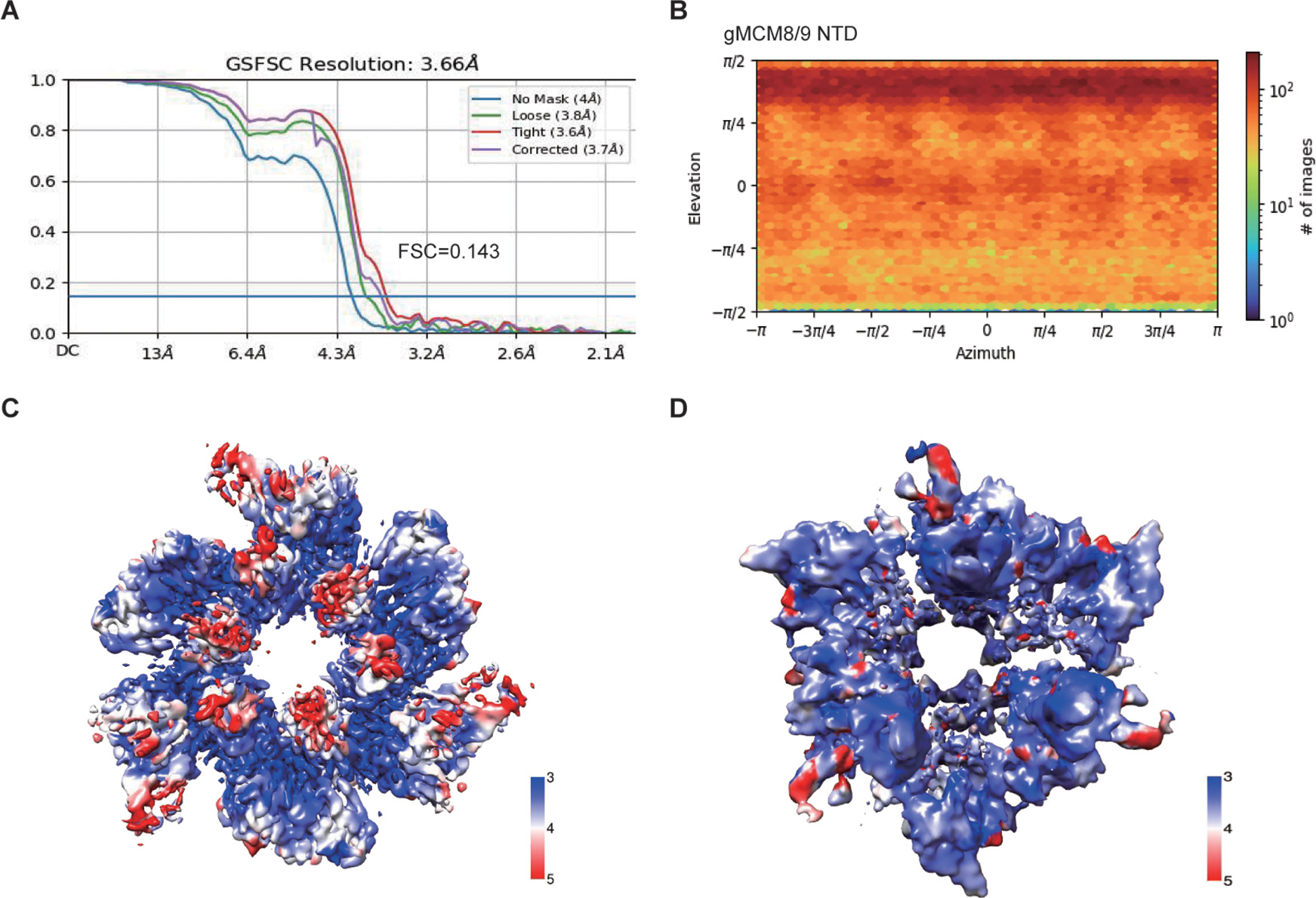 Structural and mechanistic insights into the MCM8/9 helicase complex ...