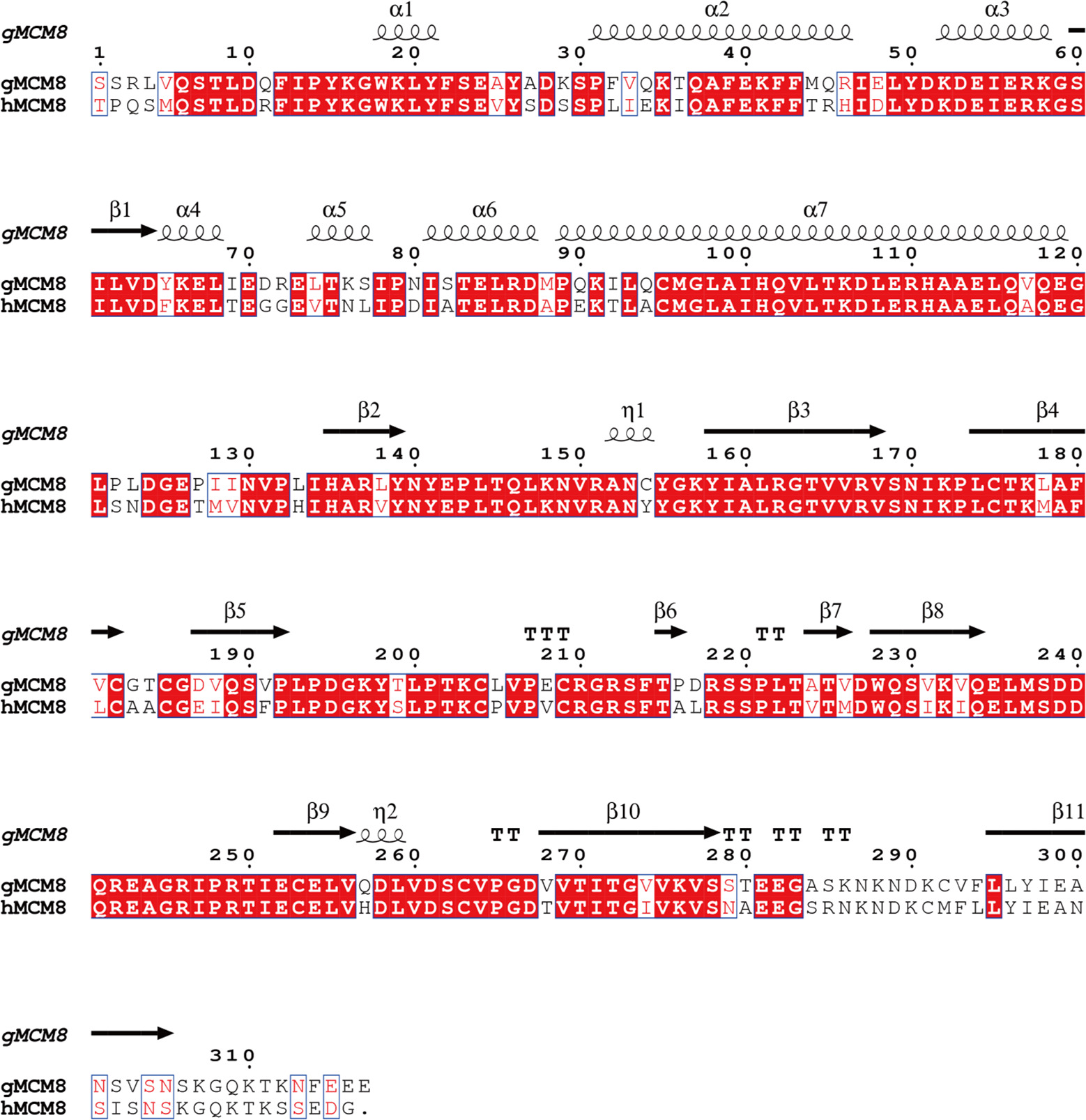 Structural and mechanistic insights into the MCM8/9 helicase complex ...