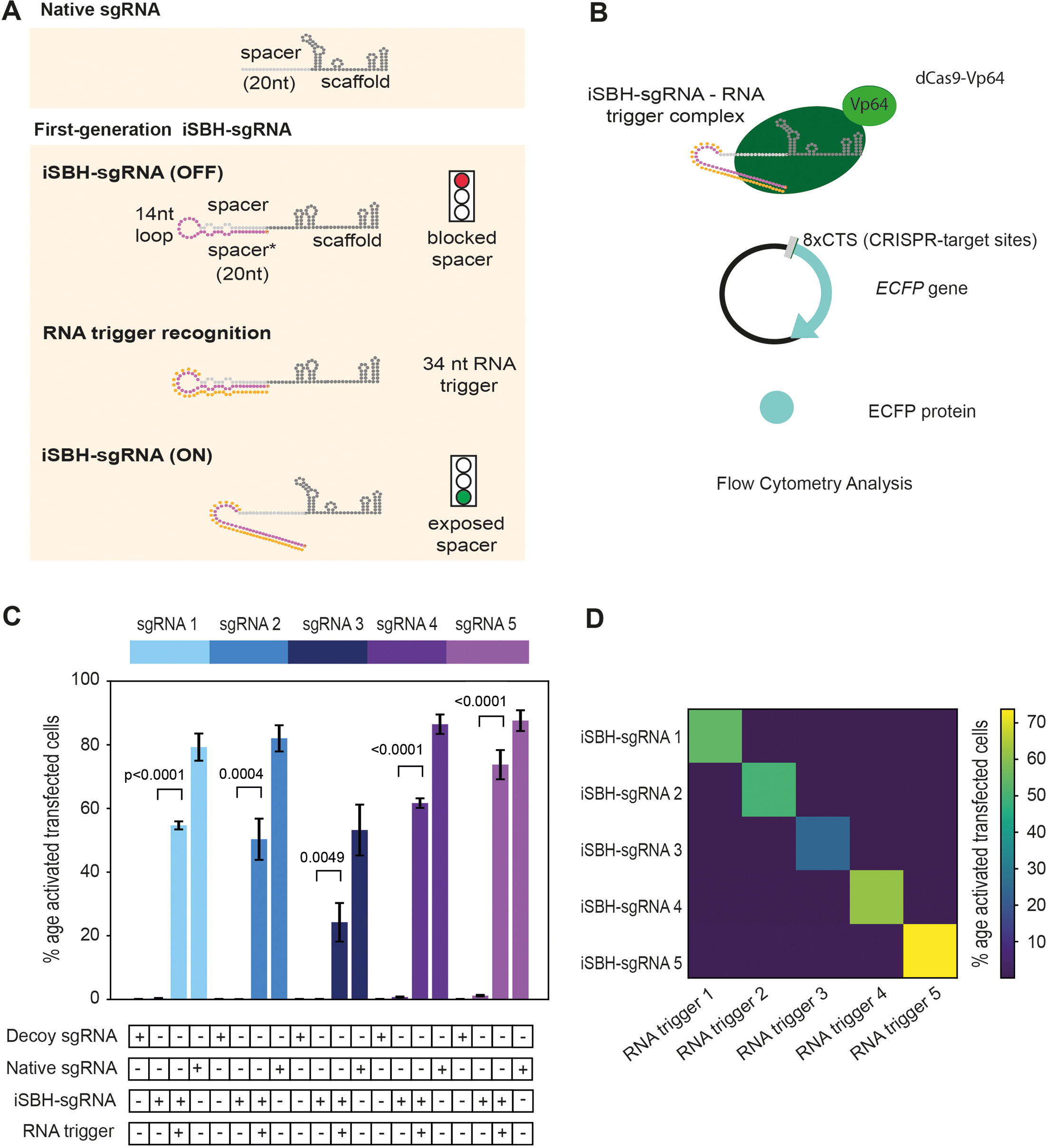 Specific modulation of CRISPR transcriptional activators through RNA ...
