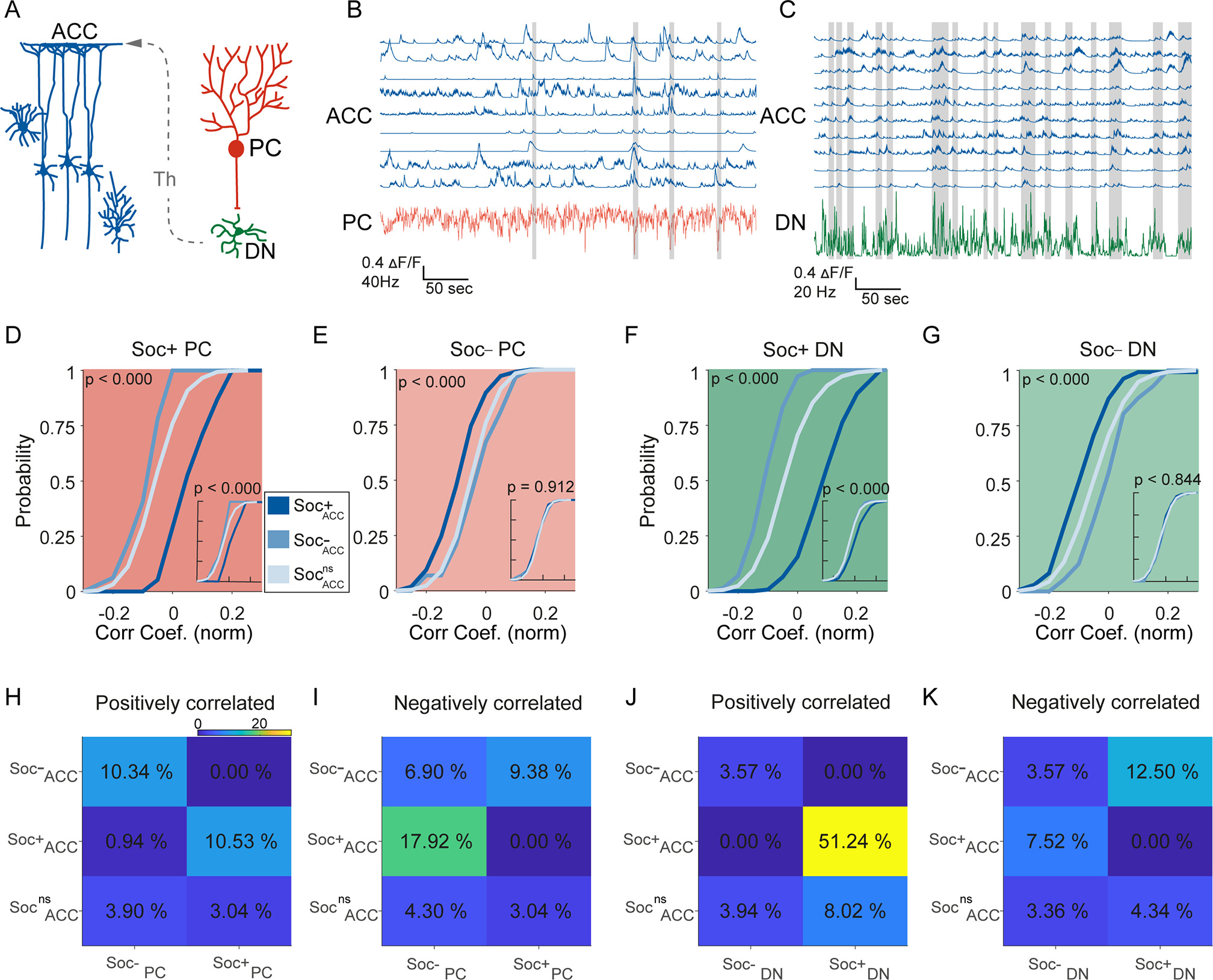 Correlated signatures of social behavior in cerebellum and anterior ...