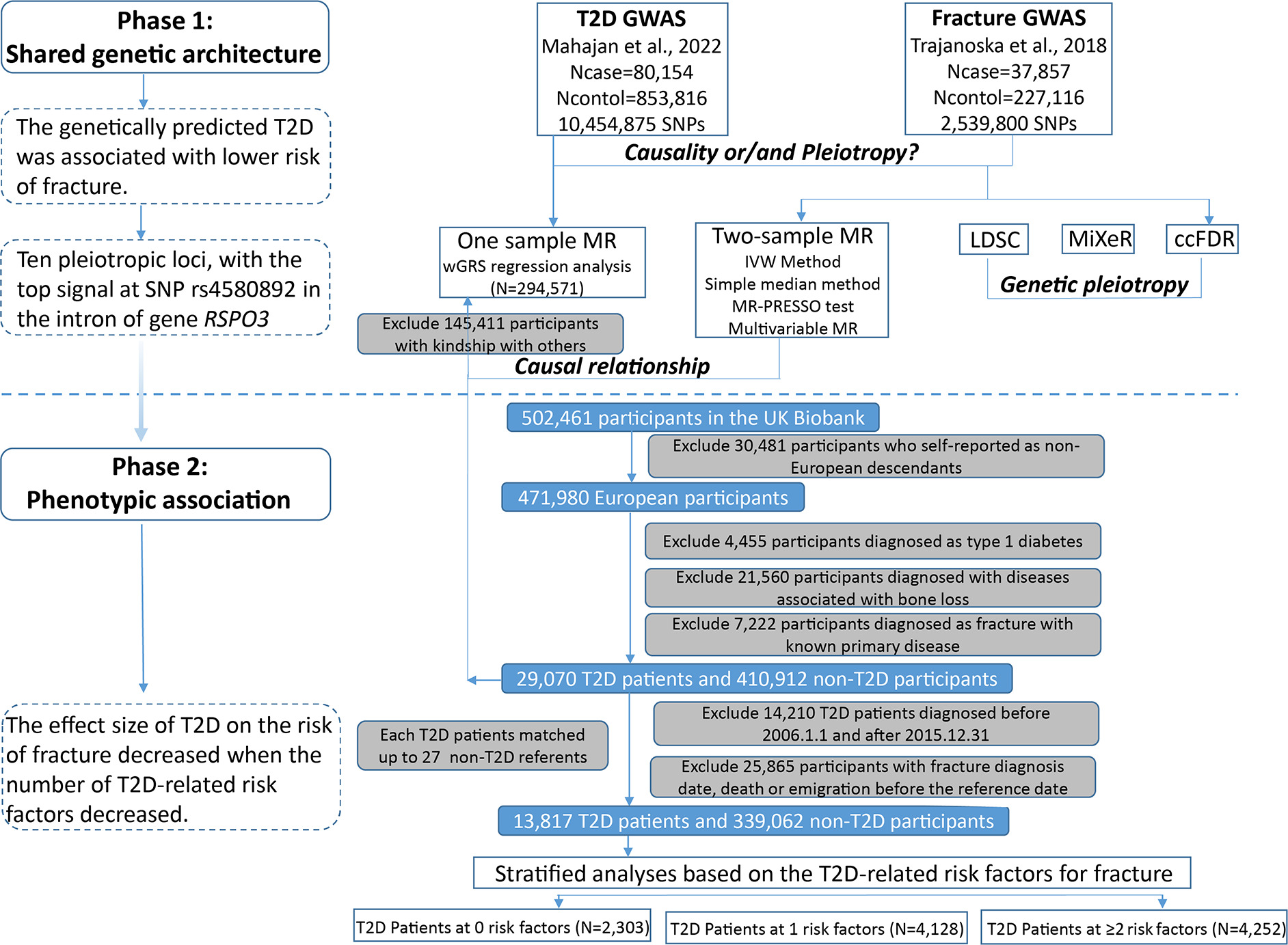 Deciphering the complex relationship between type 2 diabetes and ...
