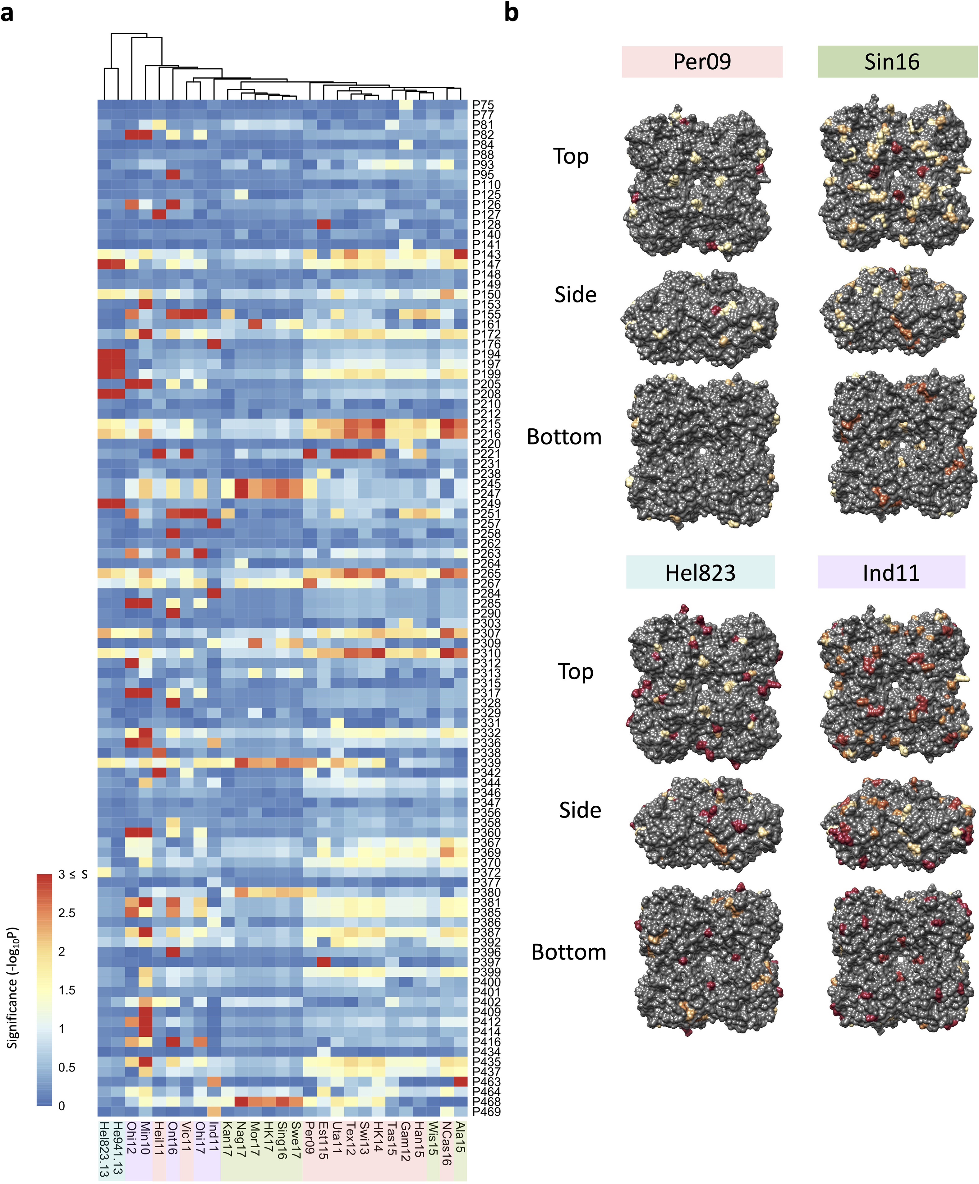 The antigenic landscape of human influenza N2 neuraminidases from 2009 ...