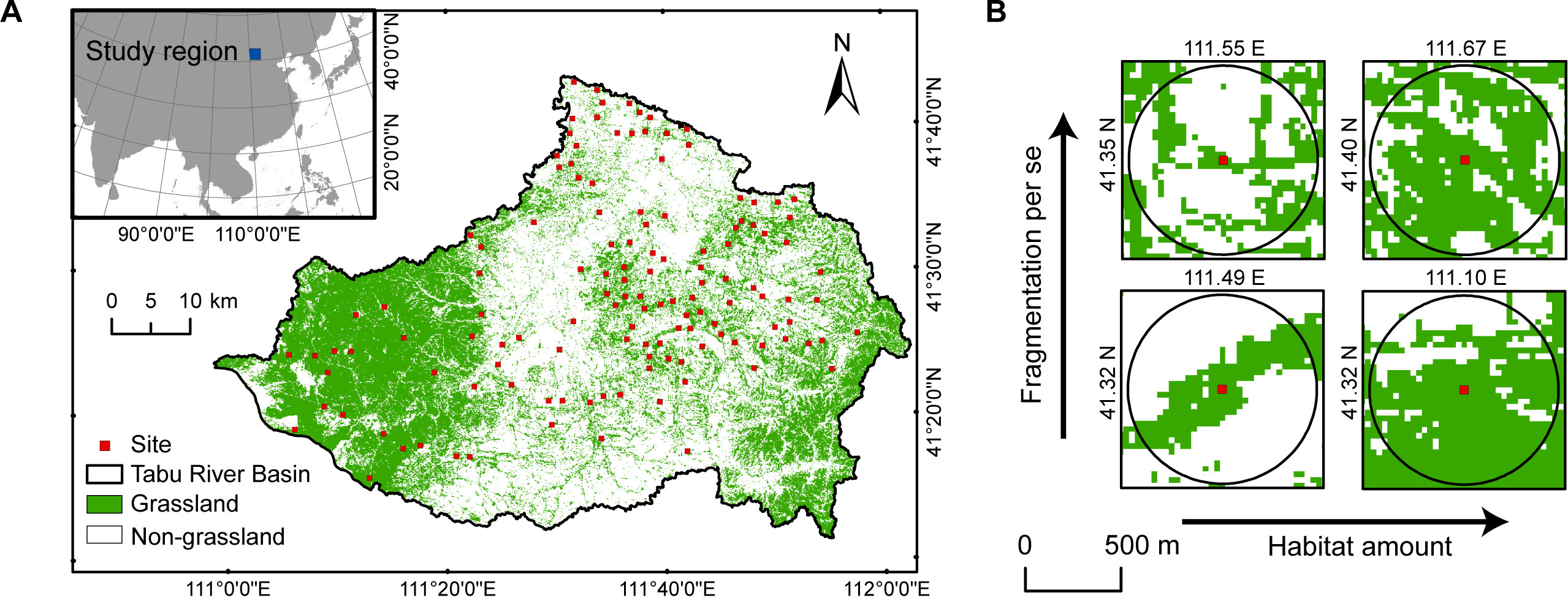 Habitat loss weakens the positive relationship between grassland plant ...
