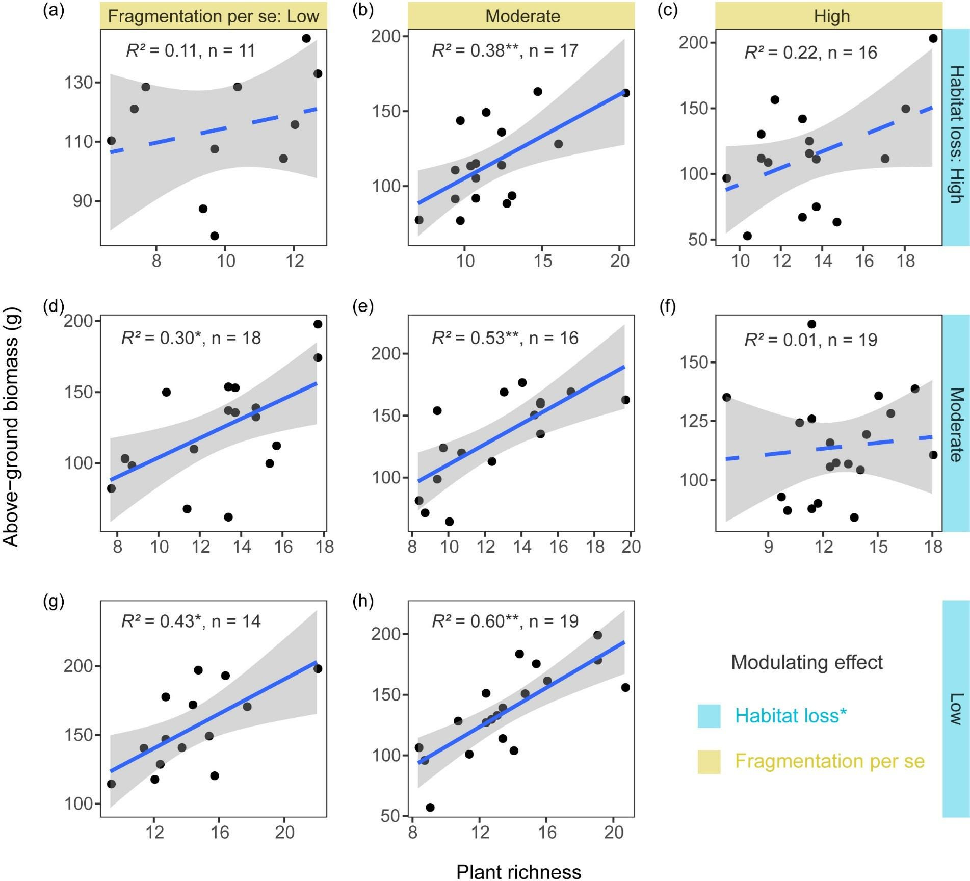 Habitat loss weakens the positive relationship between grassland plant ...