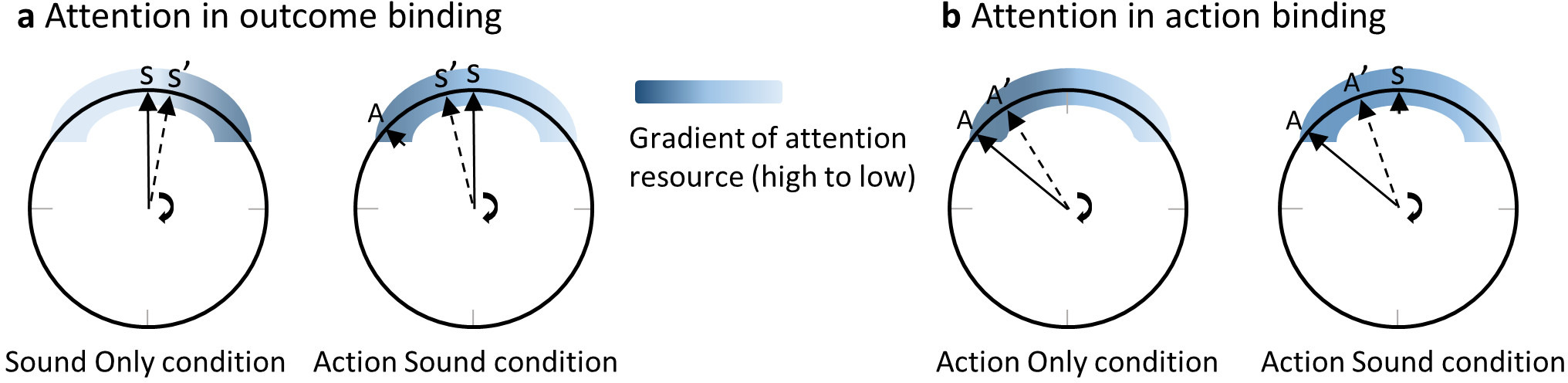 Temporal Binding Problem A spatial-attentional mechanism underlies action-related distortions of ...