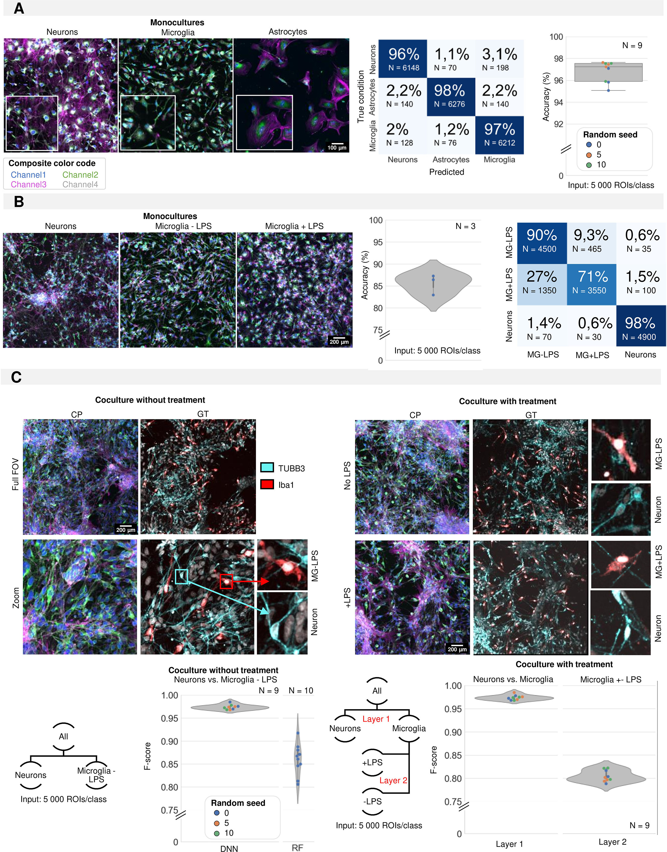Neuron Subtype Quantification Icc Unbiased identification of cell identity in dense mixed neural cultures ...