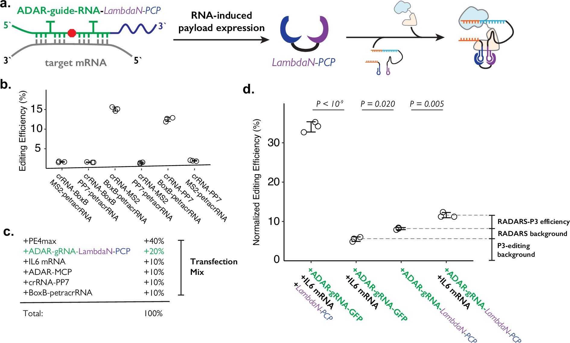 A molecular proximity sensor based on an engineered, dual-component ...