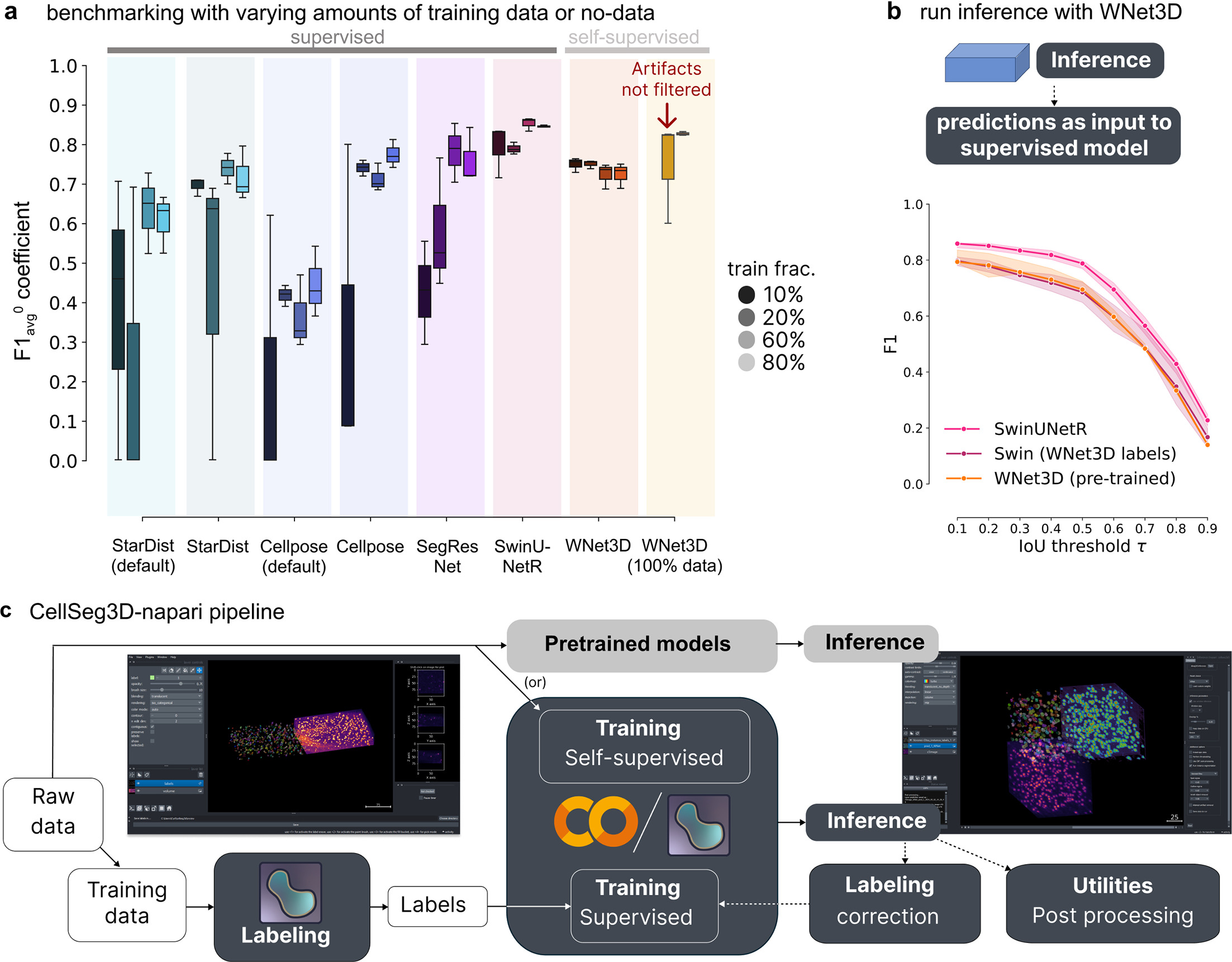 CellSeg3D, Self-supervised 3D cell segmentation for fluorescence ...